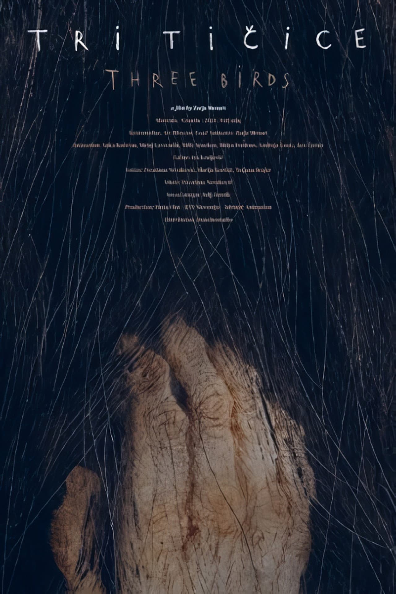 Three Birds preview 2