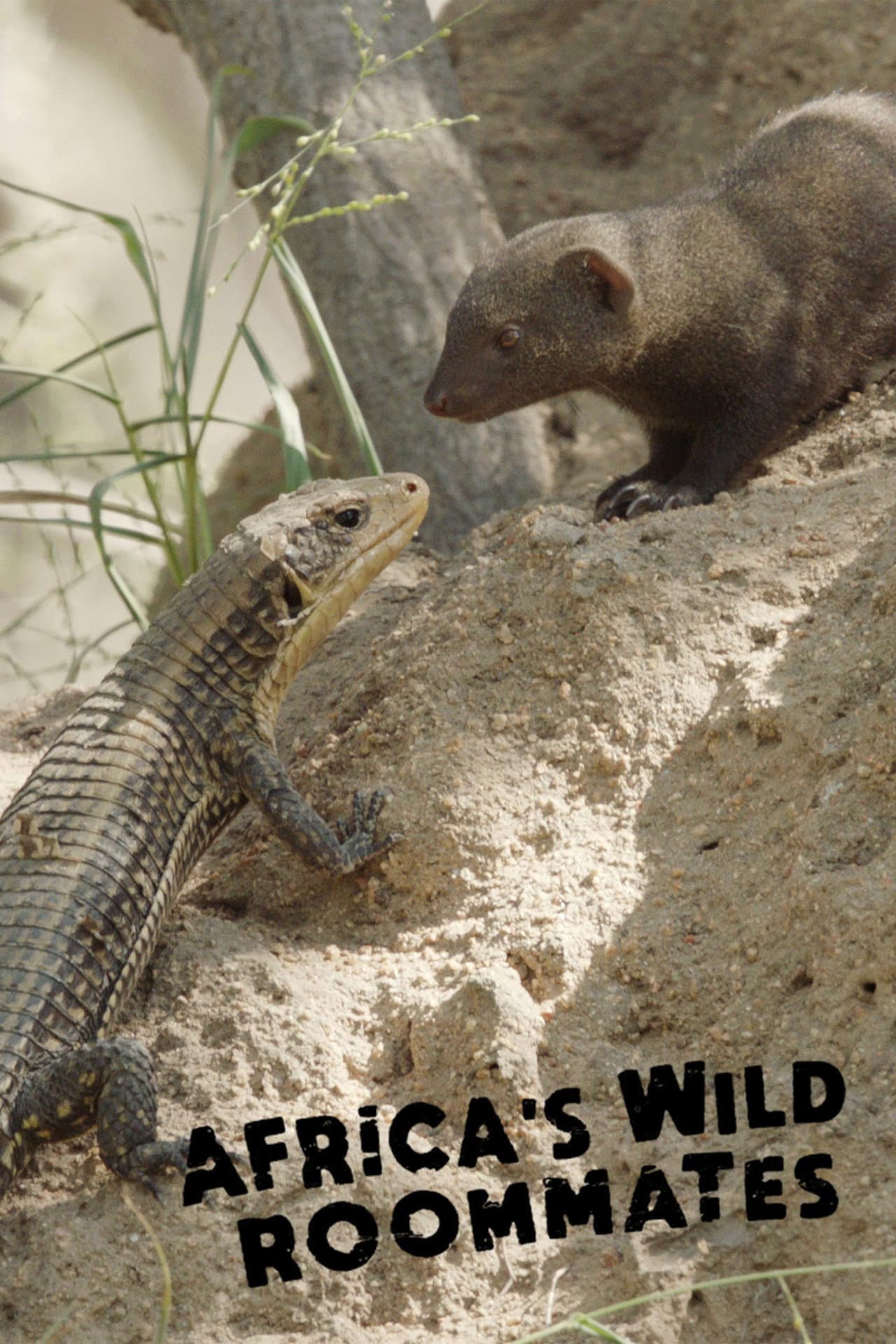 Africa's Wild Roommates: How Animals Share Bed and Board preview 1