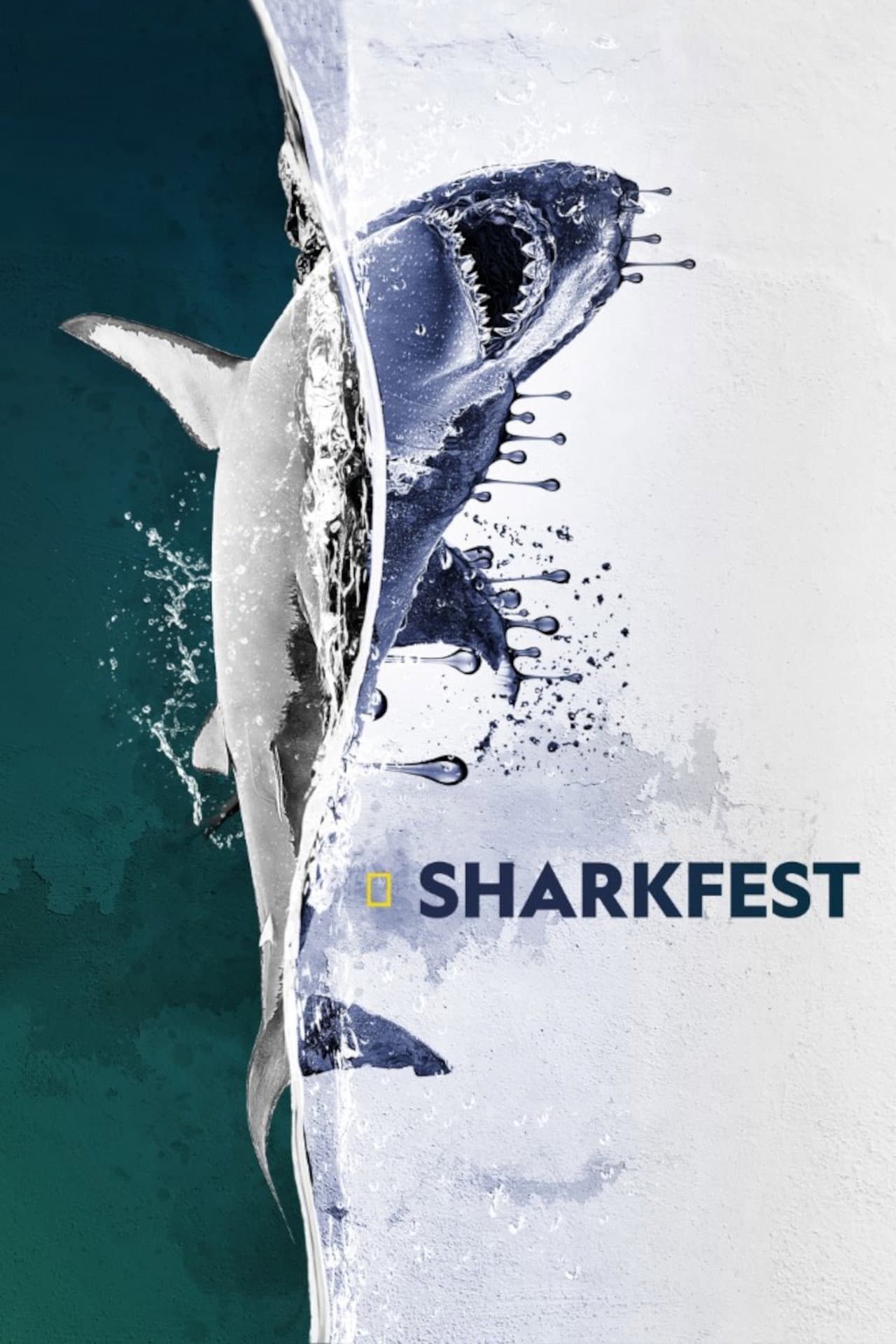 Sharkfest preview 2