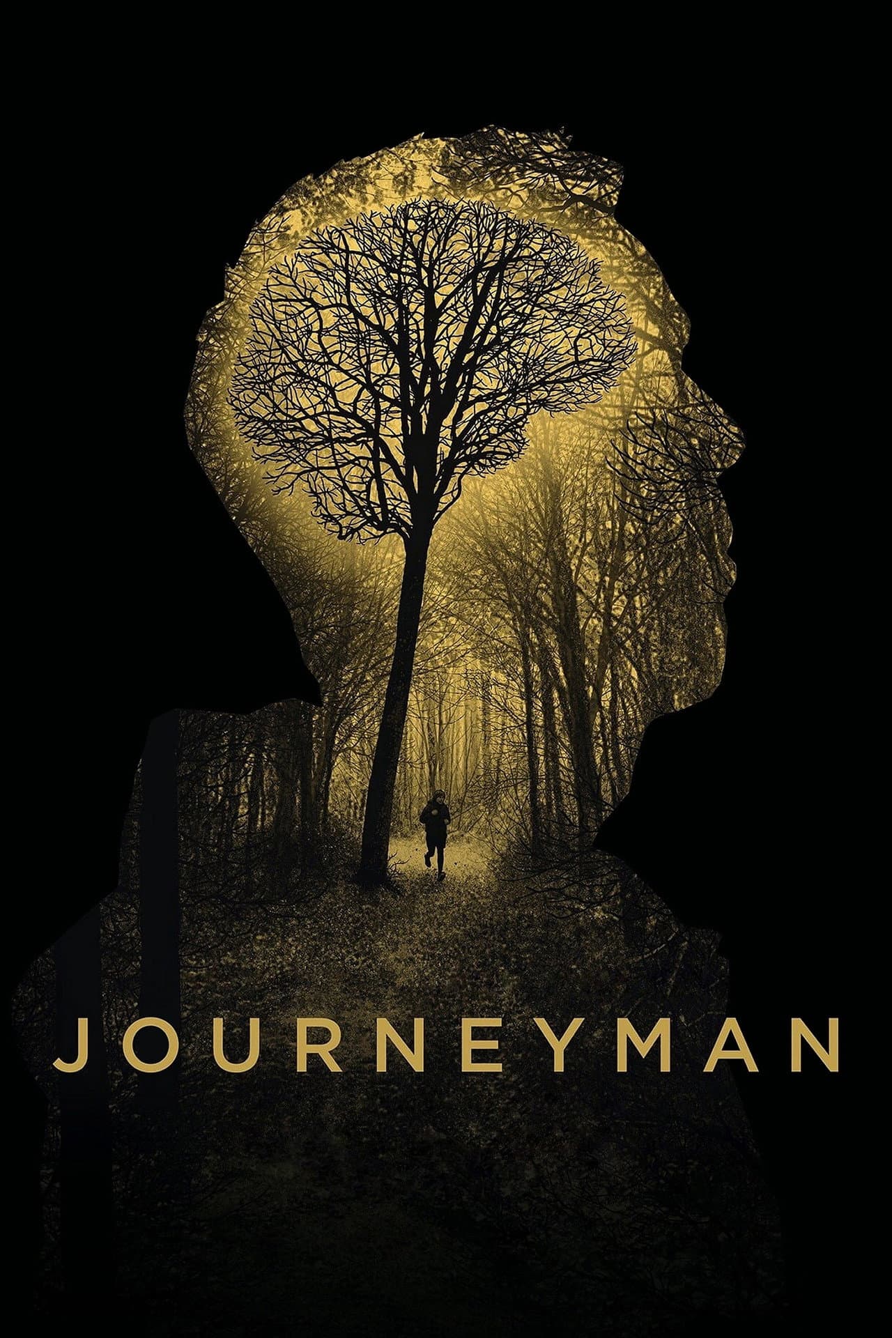 Journeyman preview 2