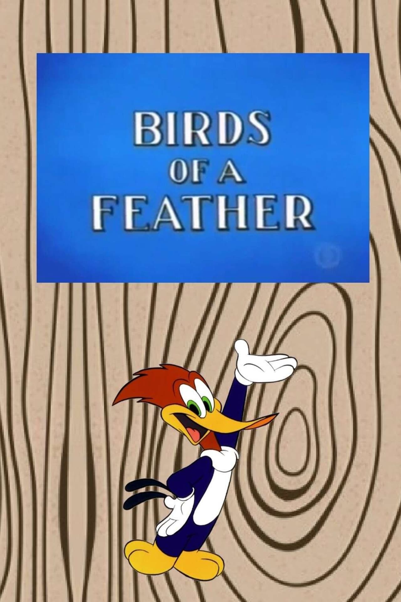 Birds of a Feather preview 1