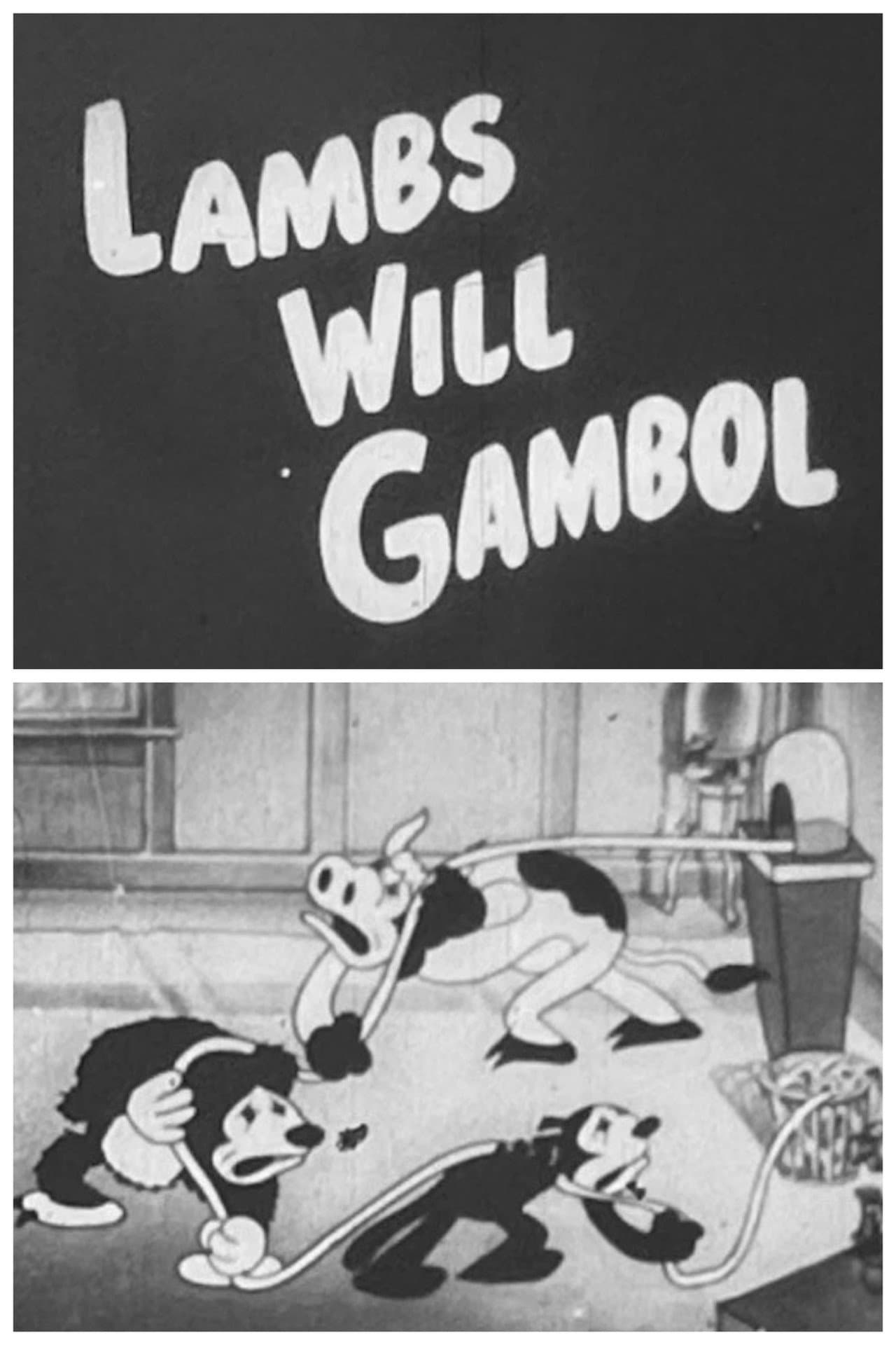 Lambs Will Gamble preview 2