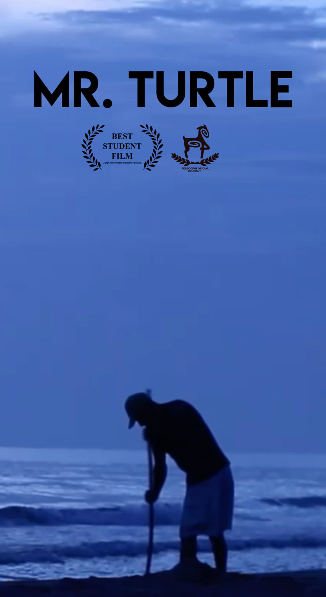 Mr. Turtle preview 2