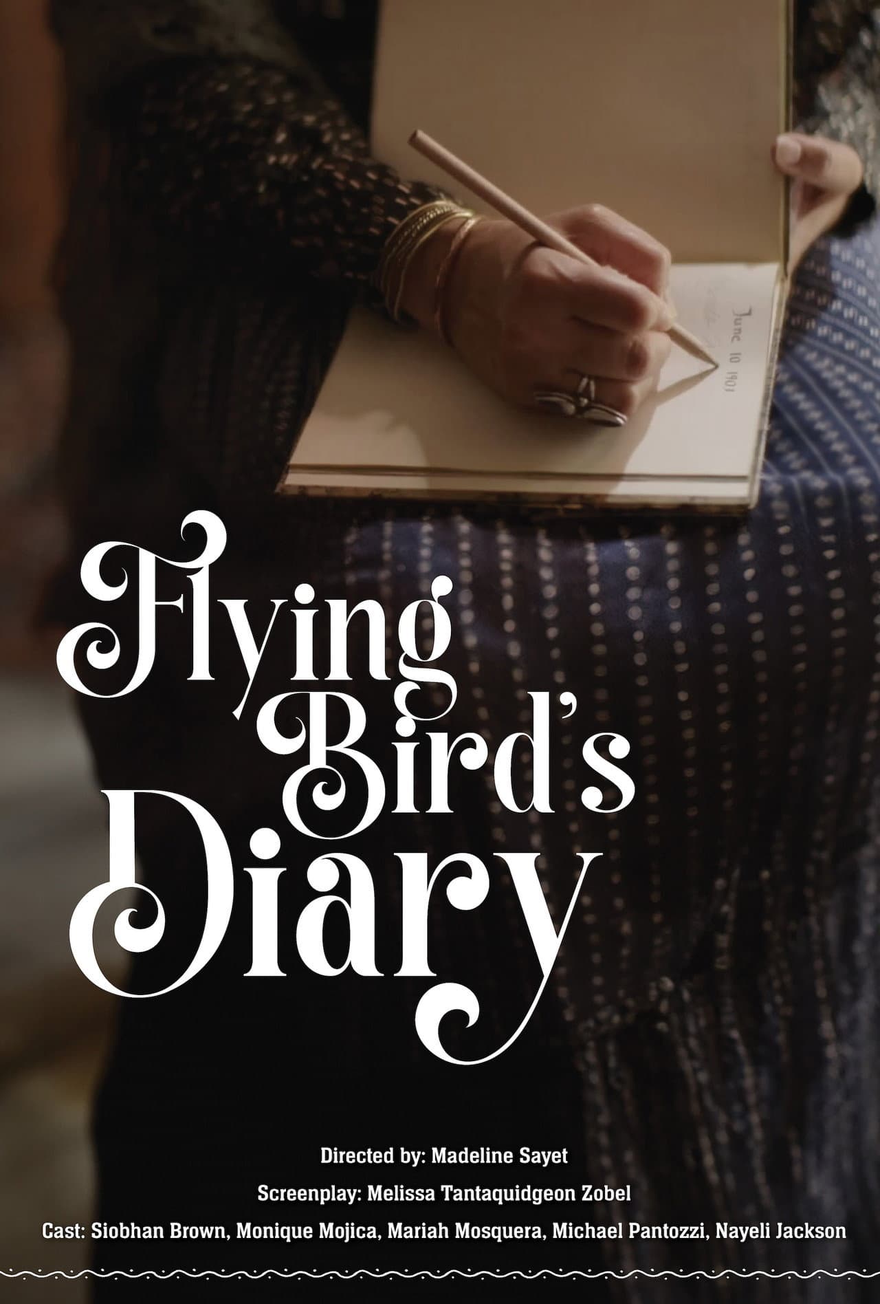 Flying Bird's Diary preview 1