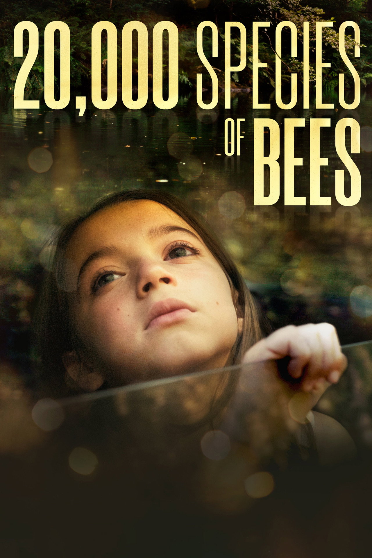 20,000 Species of Bees preview 2