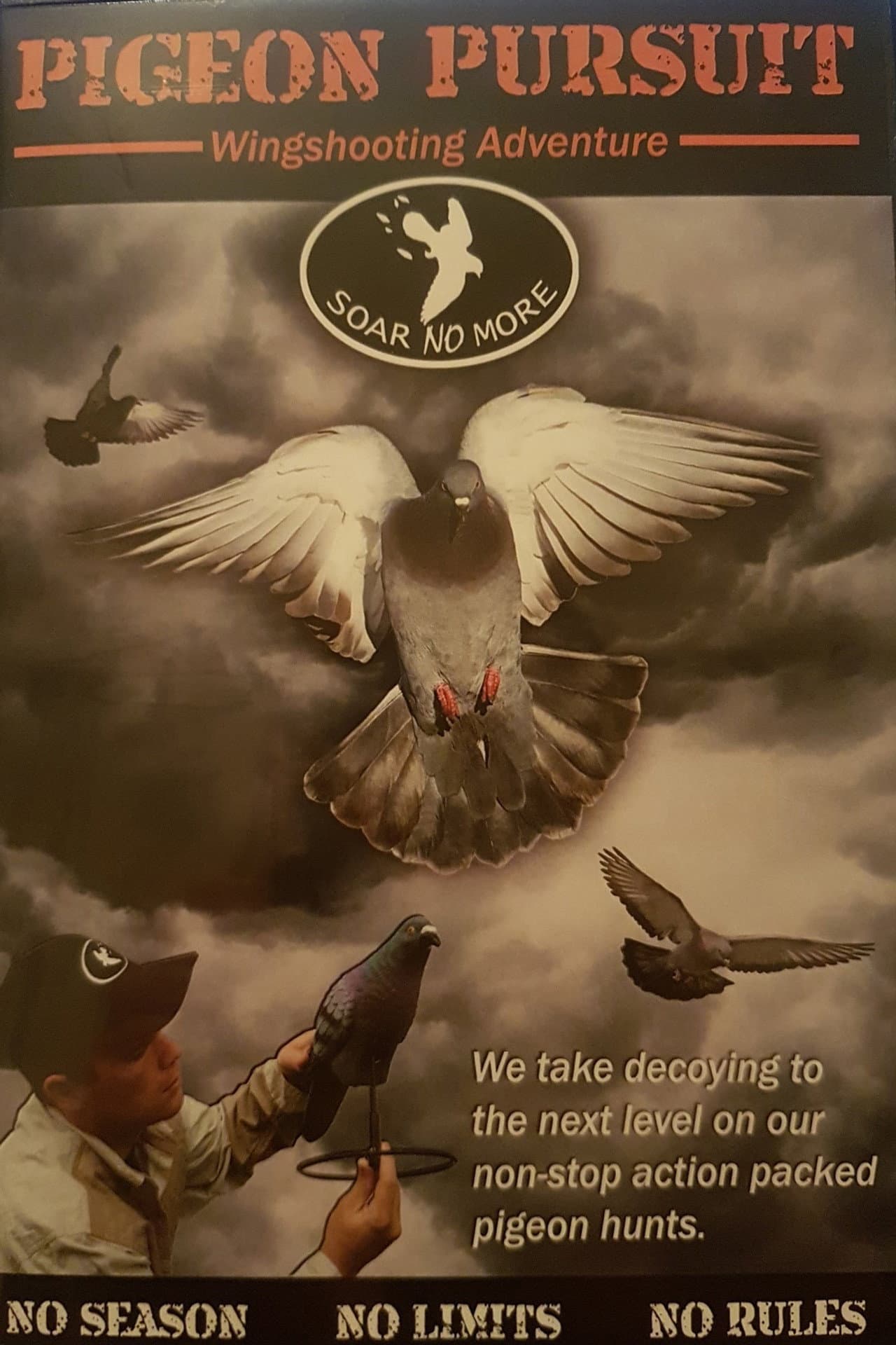 Pigeon Pursuit preview 1
