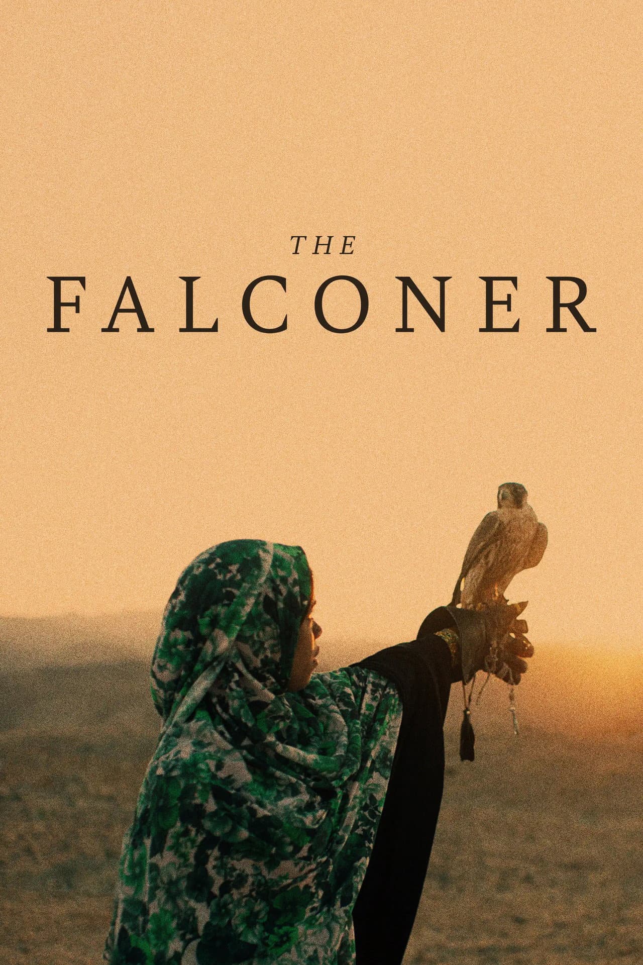 The Falconer preview 2