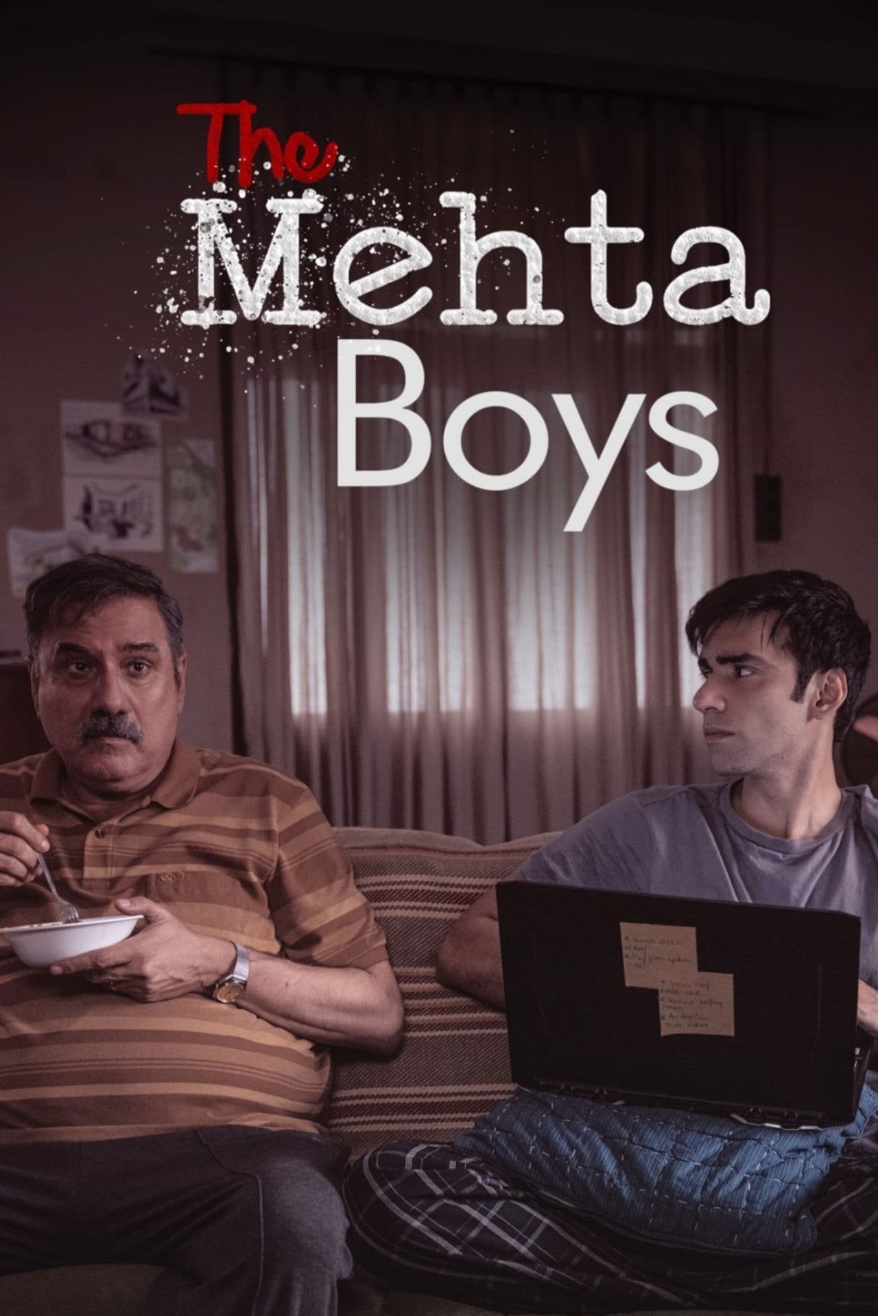 The Mehta Boys preview 2