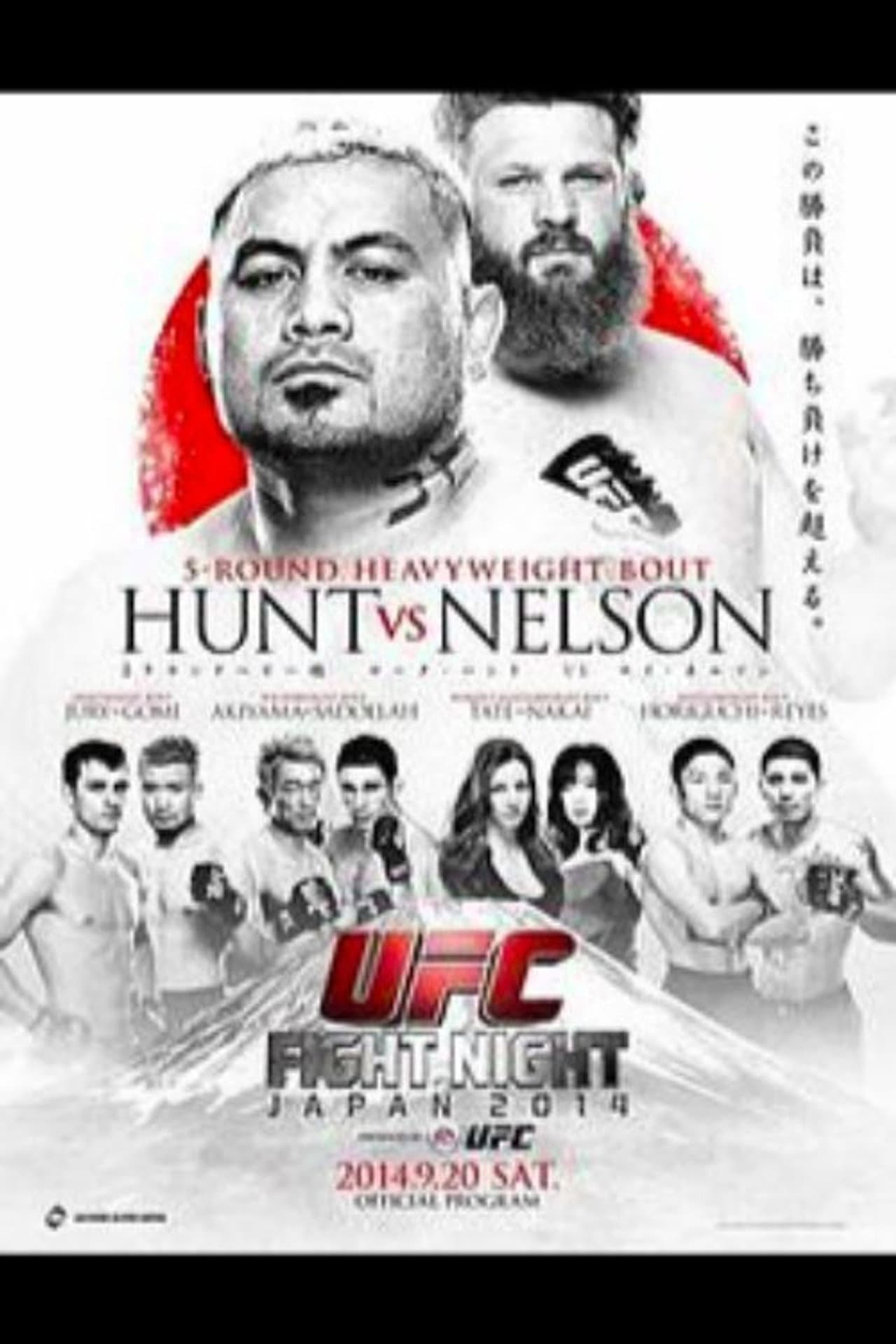 UFC Fight Night 52: Hunt vs. Nelson preview 1
