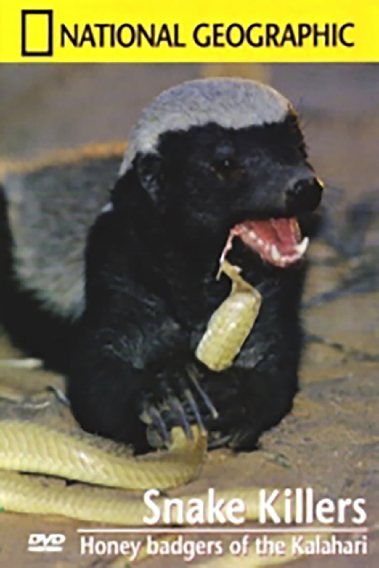 Snake Killers - Honey badgers of the Kalahari preview 1