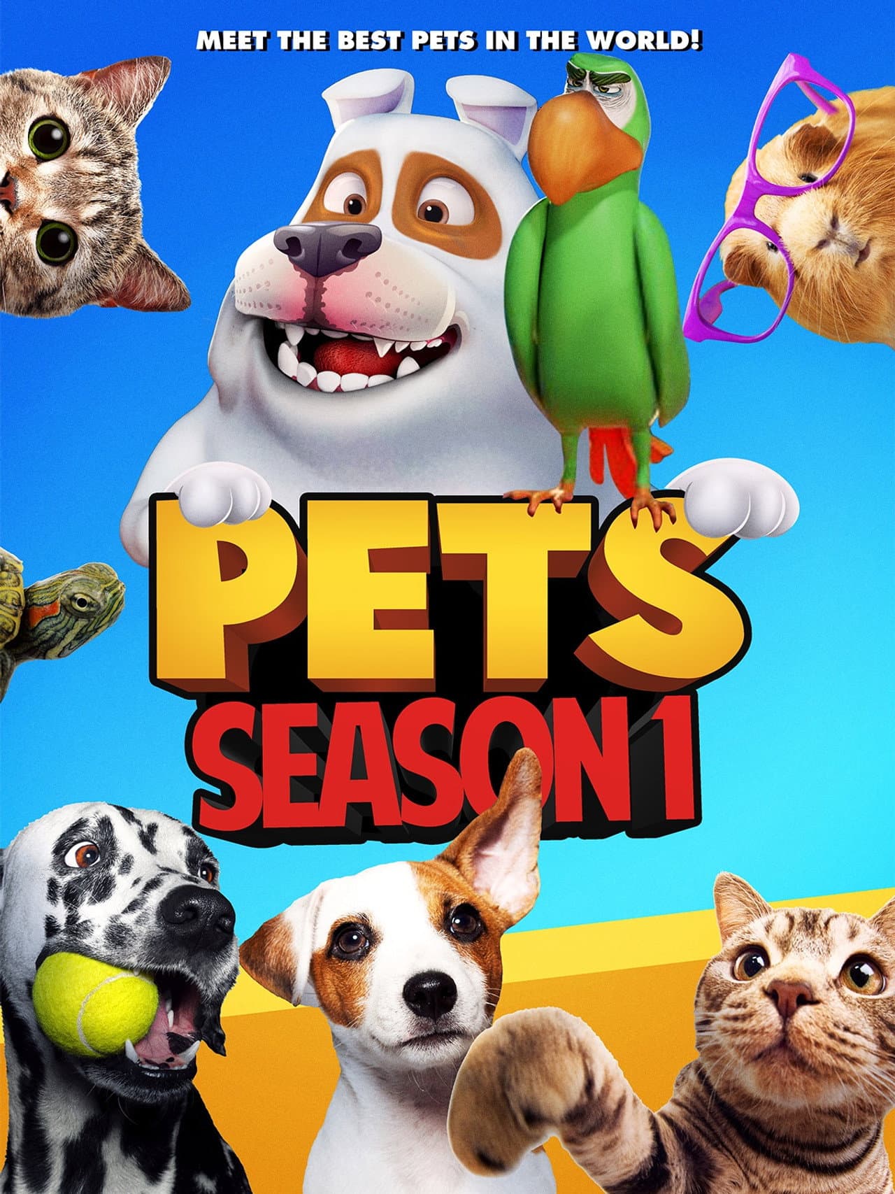 Pets Season 1 preview 1