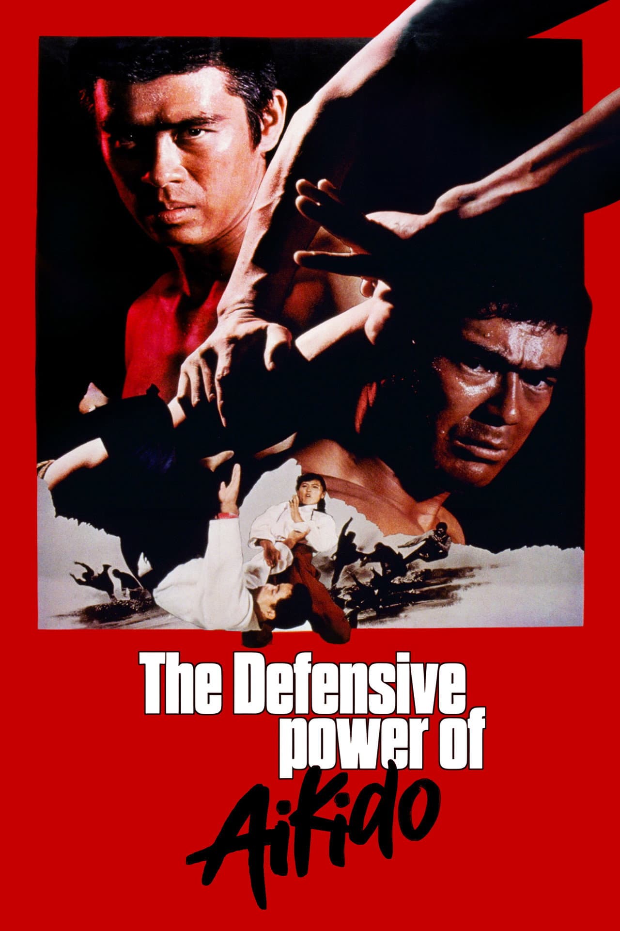 The Decisive Power of Aikido preview 2