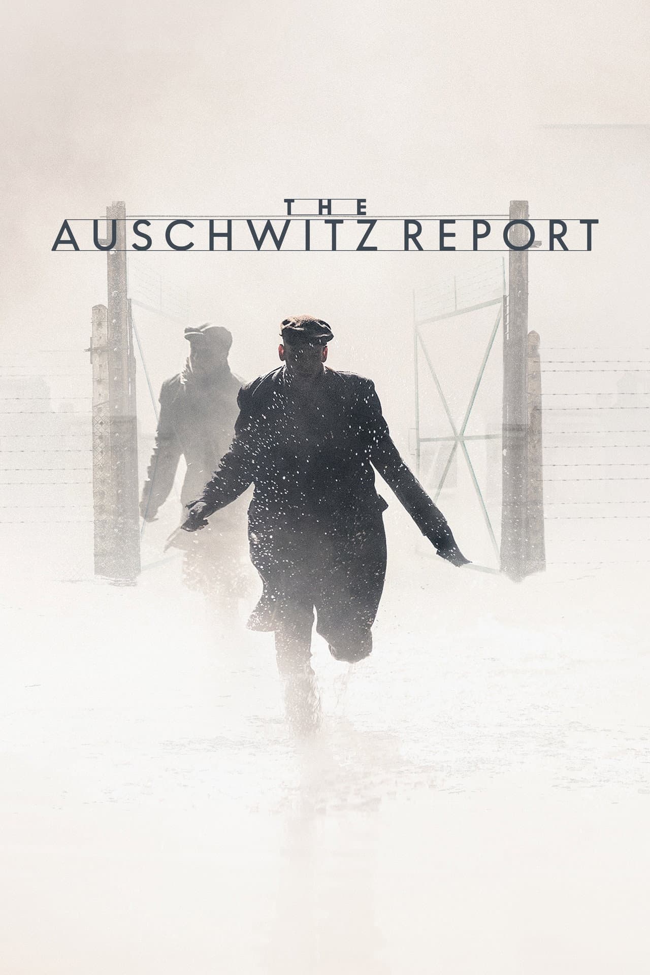 The Auschwitz Report preview 2