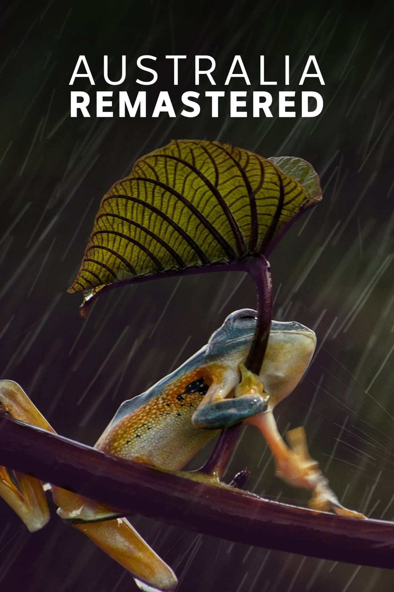 Forces of Nature