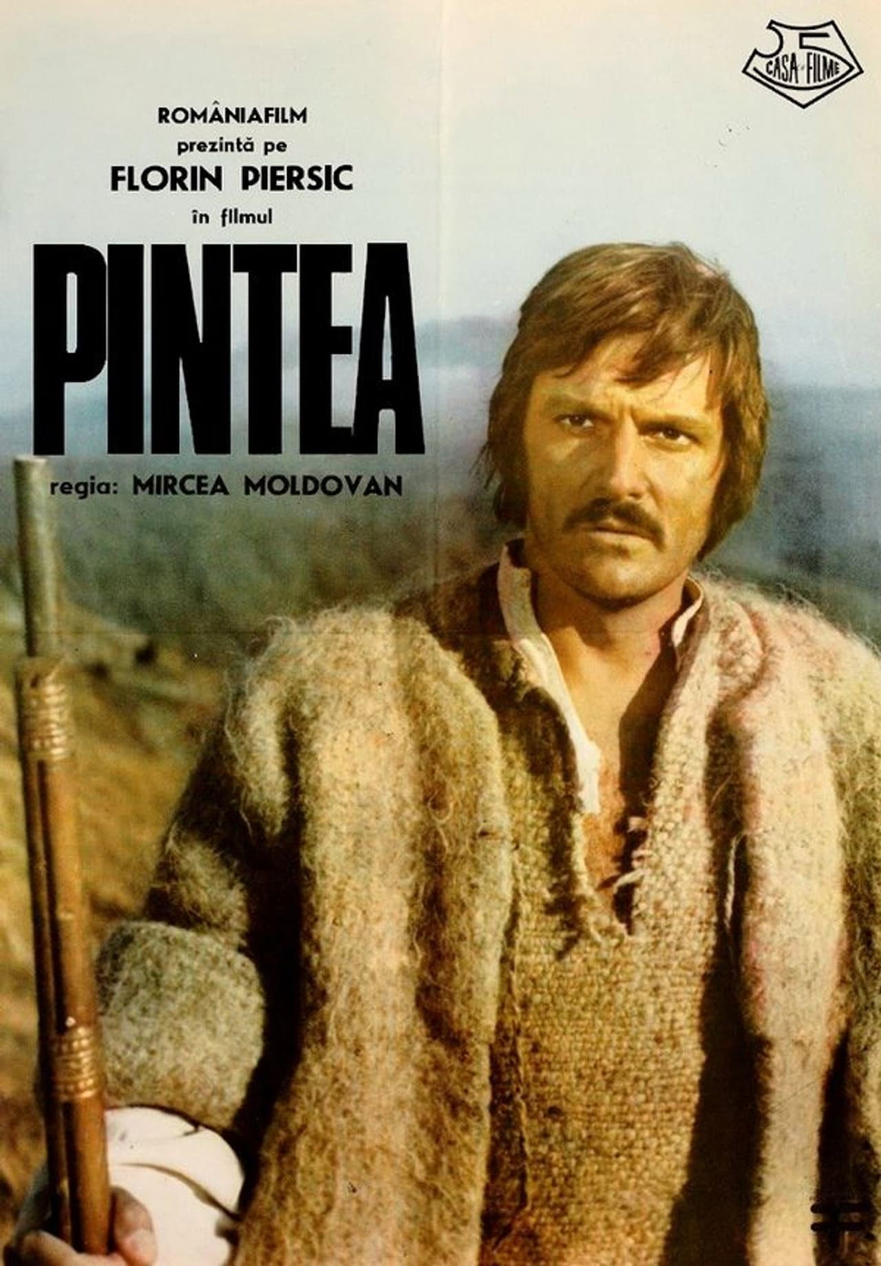 Pintea preview 1