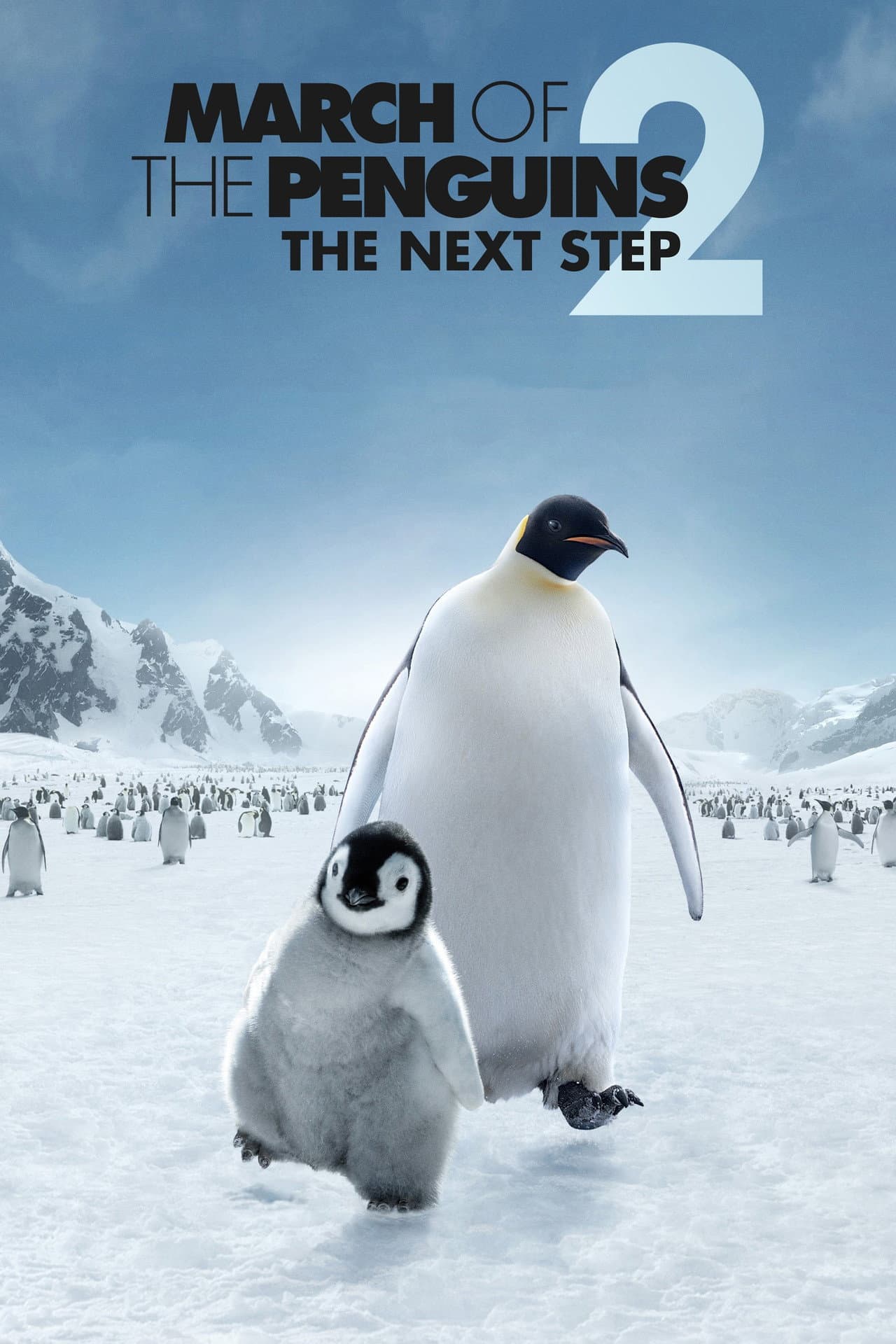 March of the Penguins 2: The Next Step preview 2