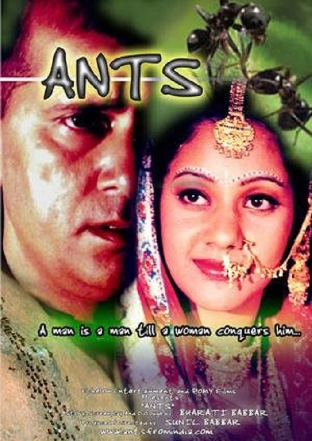 Ants preview 1