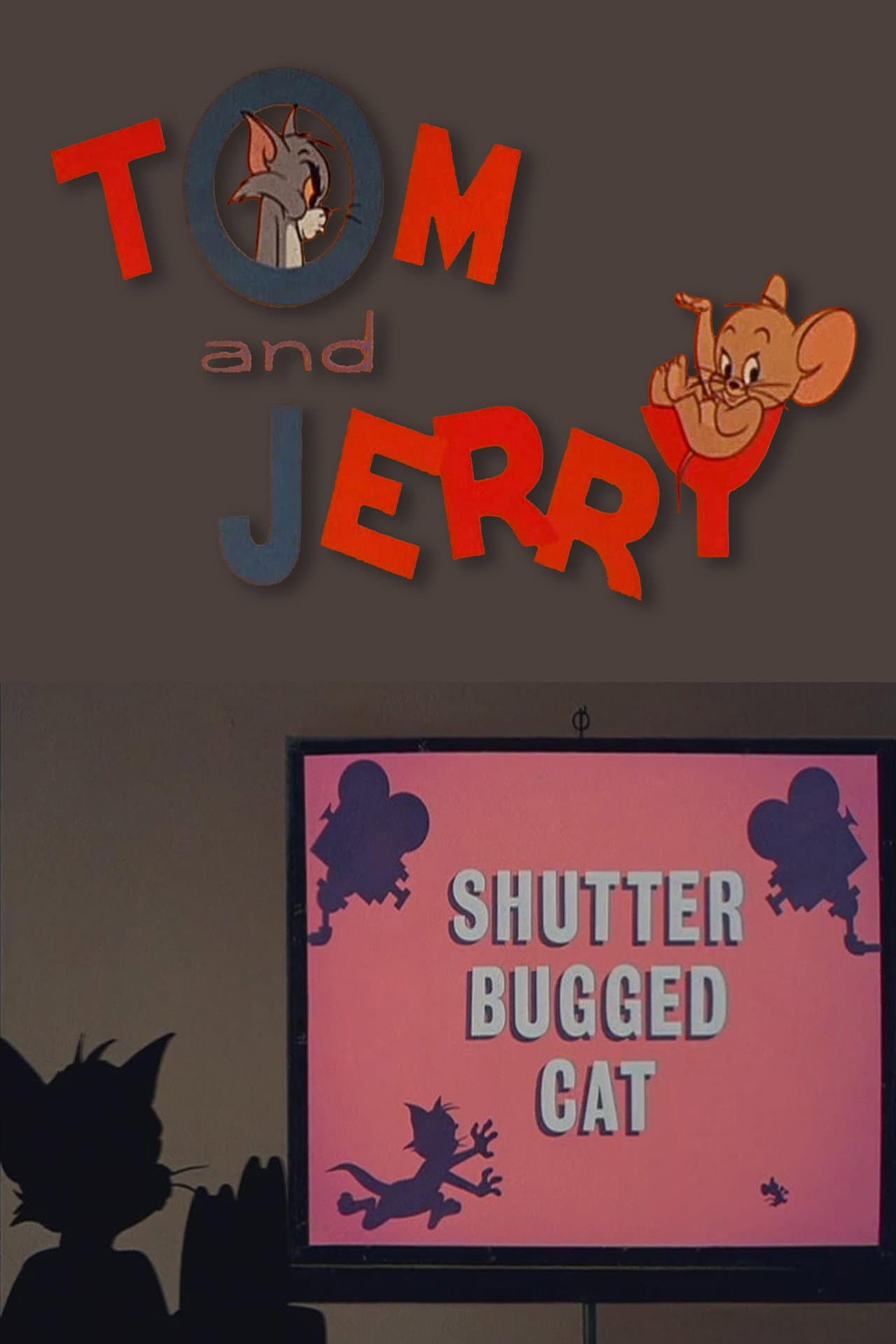 Shutter Bugged Cat preview 2