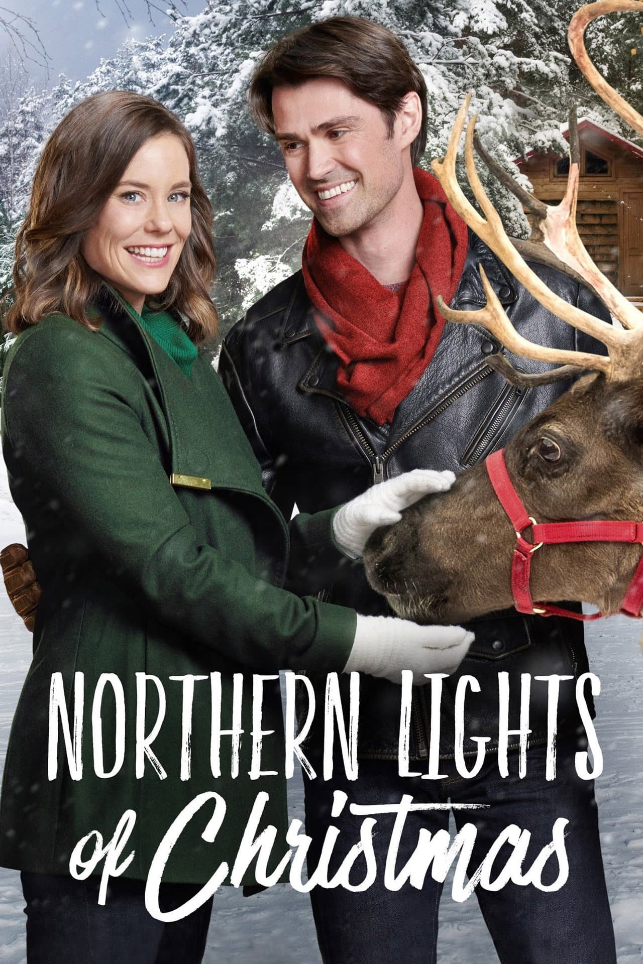 Northern Lights of Christmas preview 2