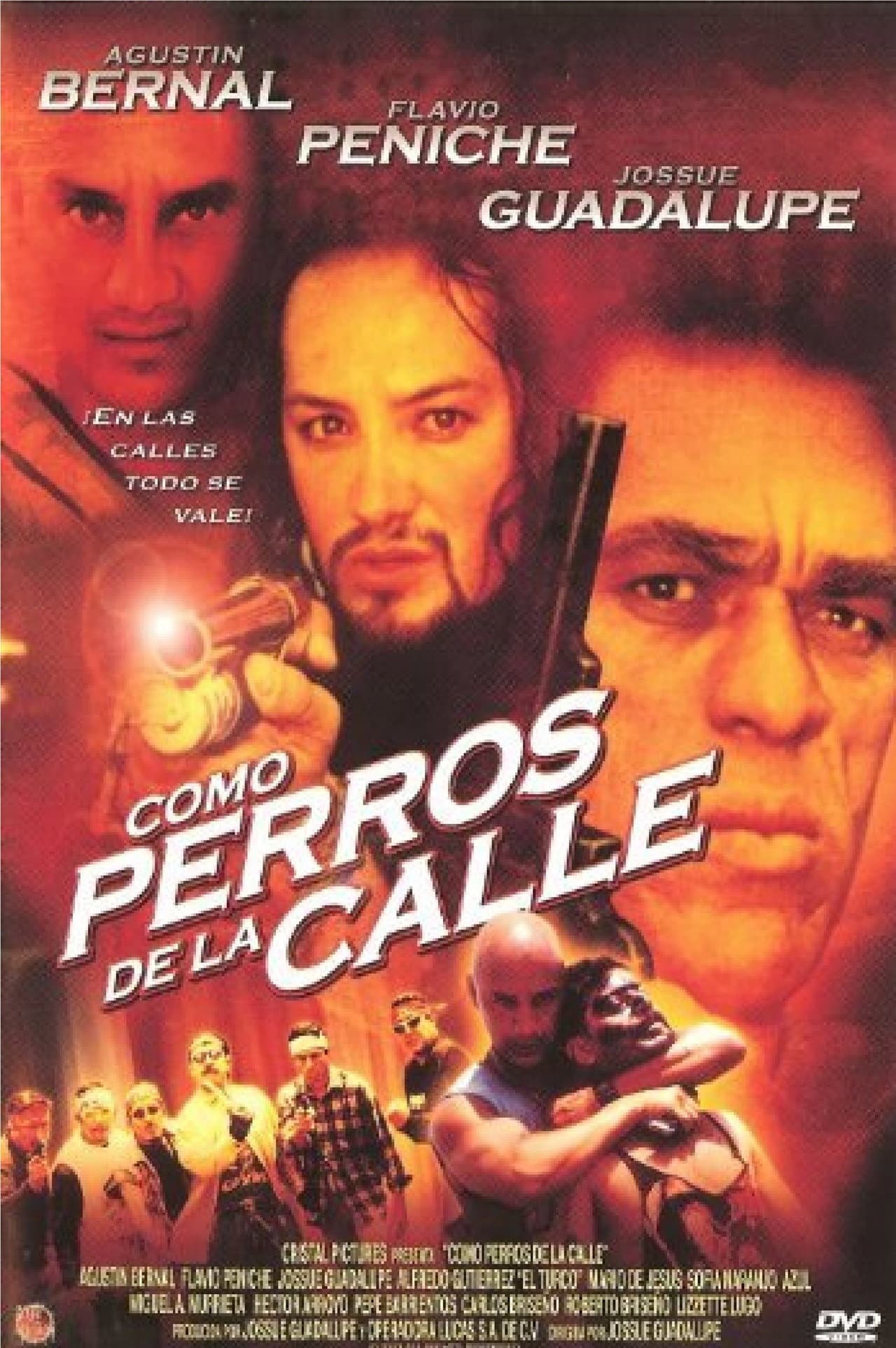 Como Perros de la Calle preview 1