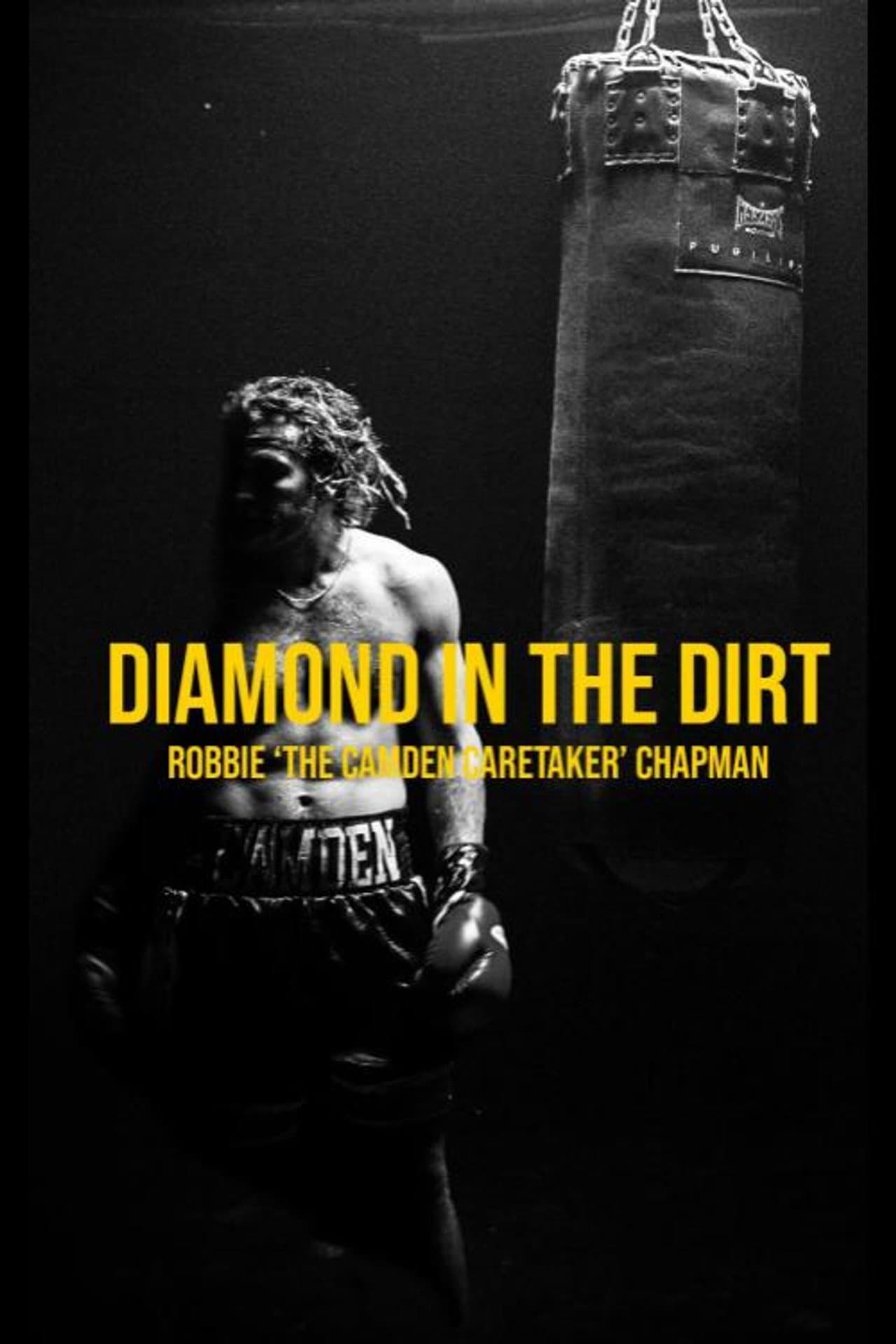 Diamond In The Dirt preview 1