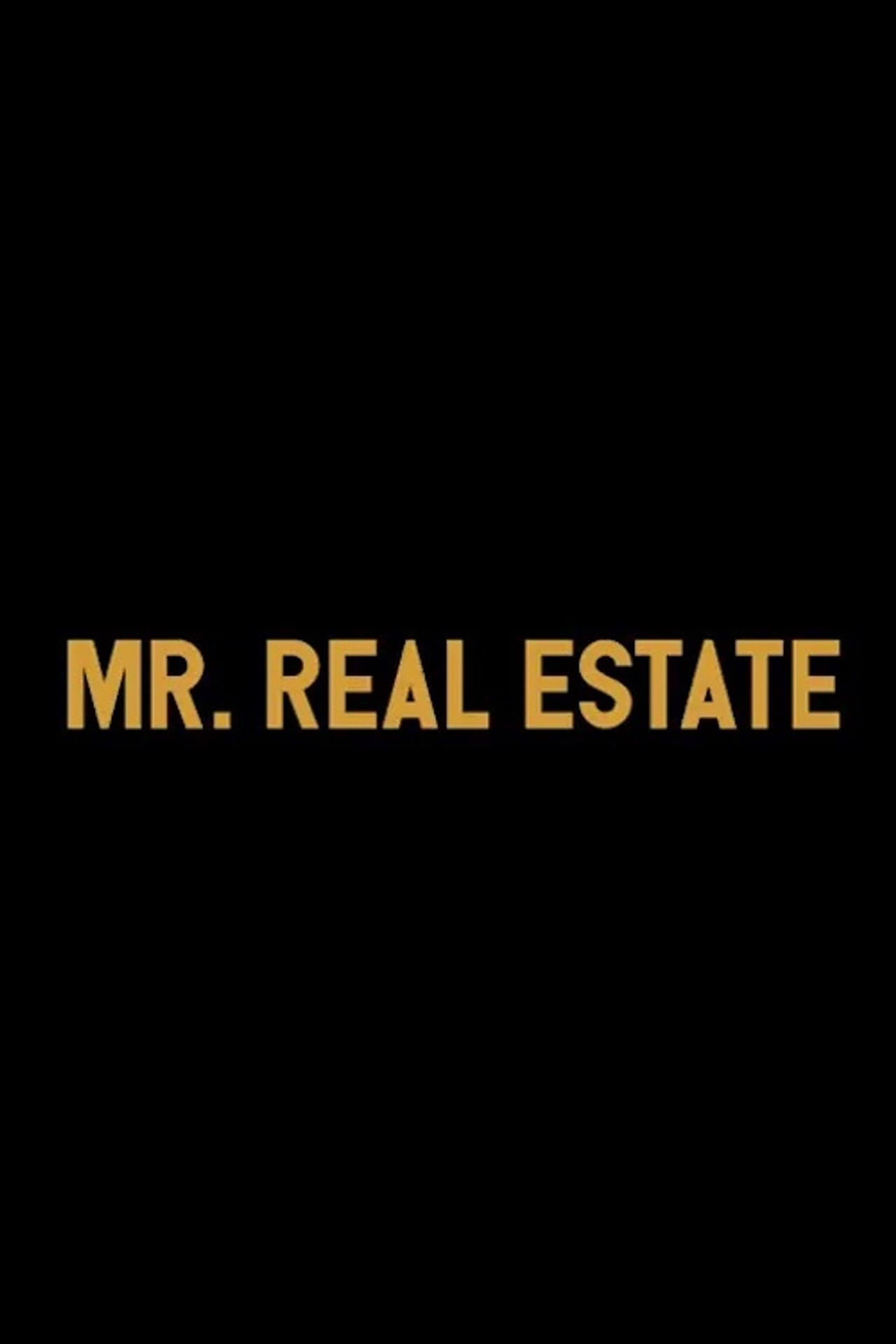 Mr. Real Estate preview 2