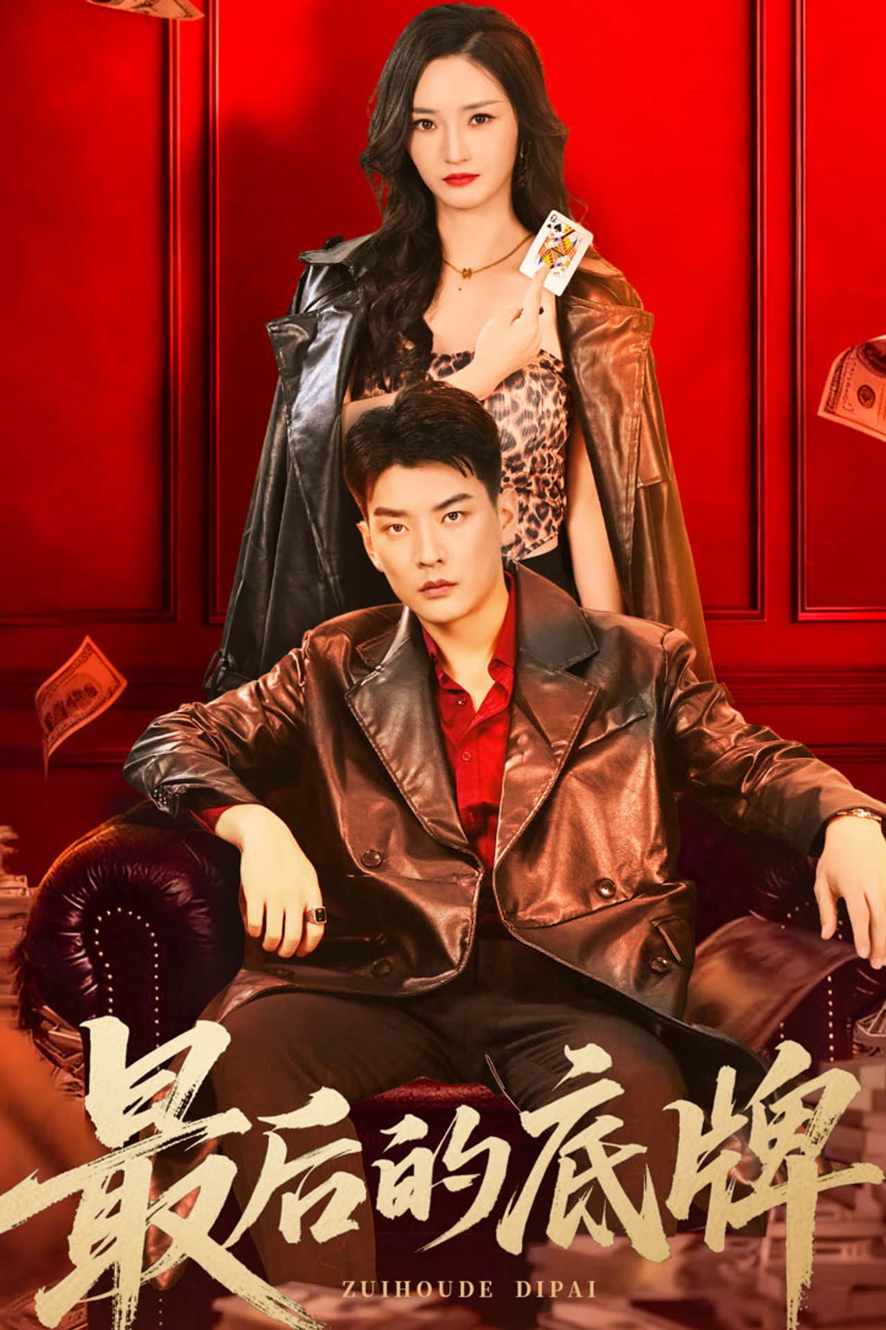 最后的底牌 preview 1