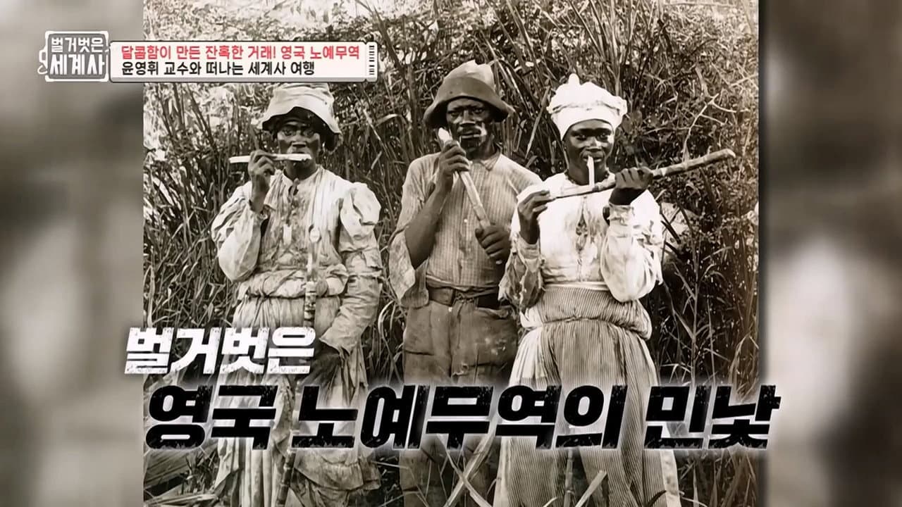Episode 41
