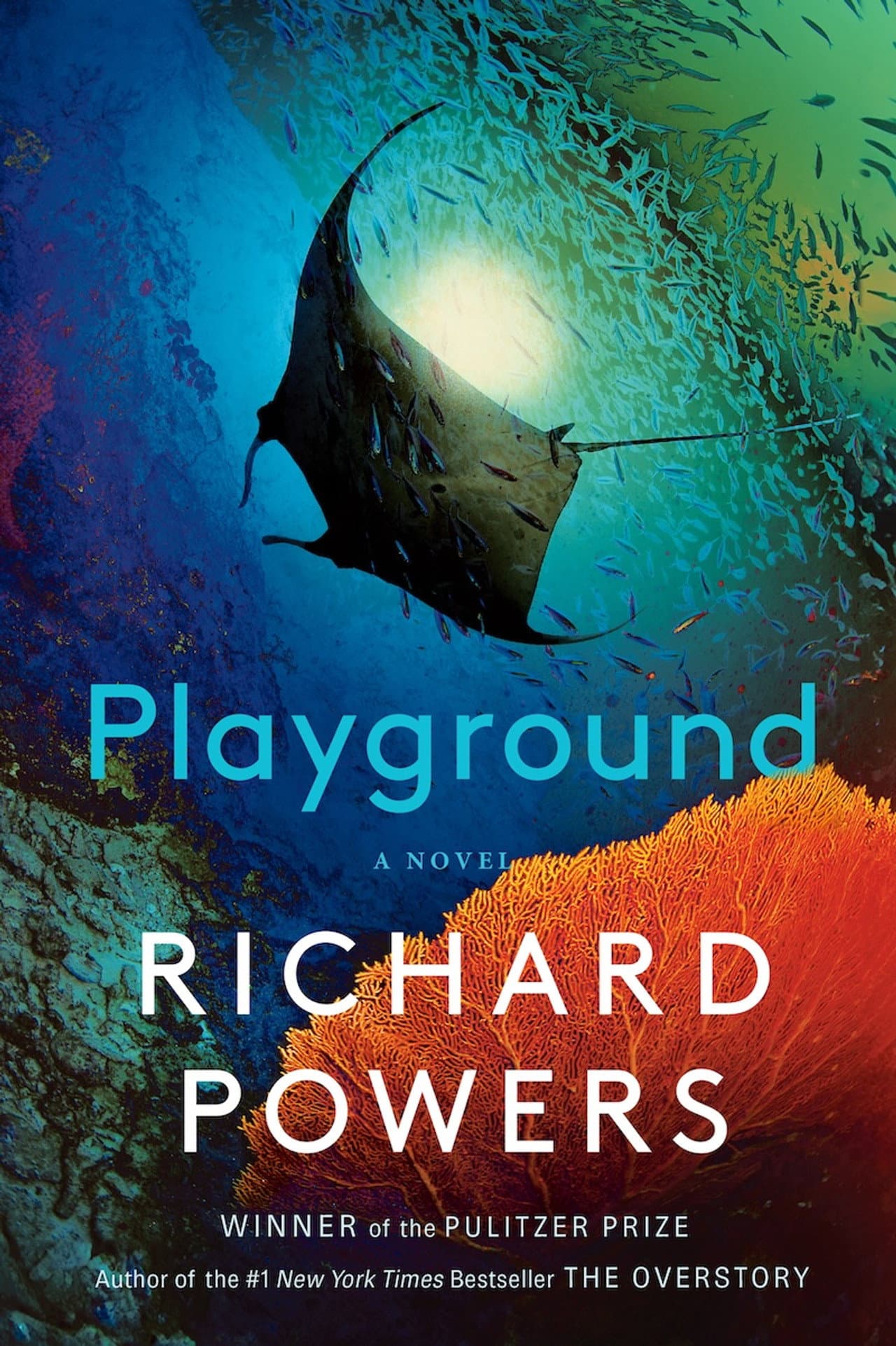 Playground preview 1