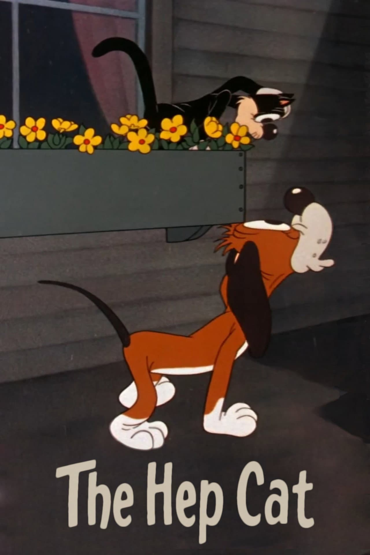 The Hep Cat preview 2