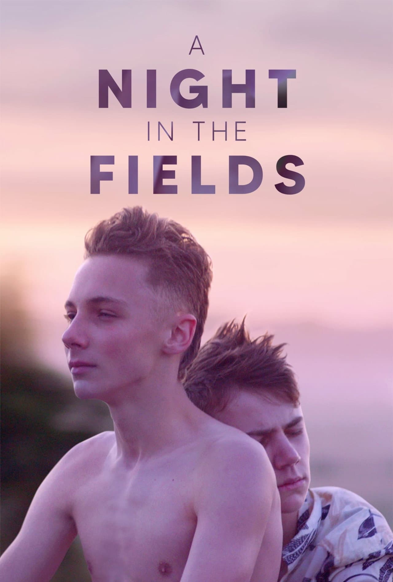 A Night in the Fields preview 2