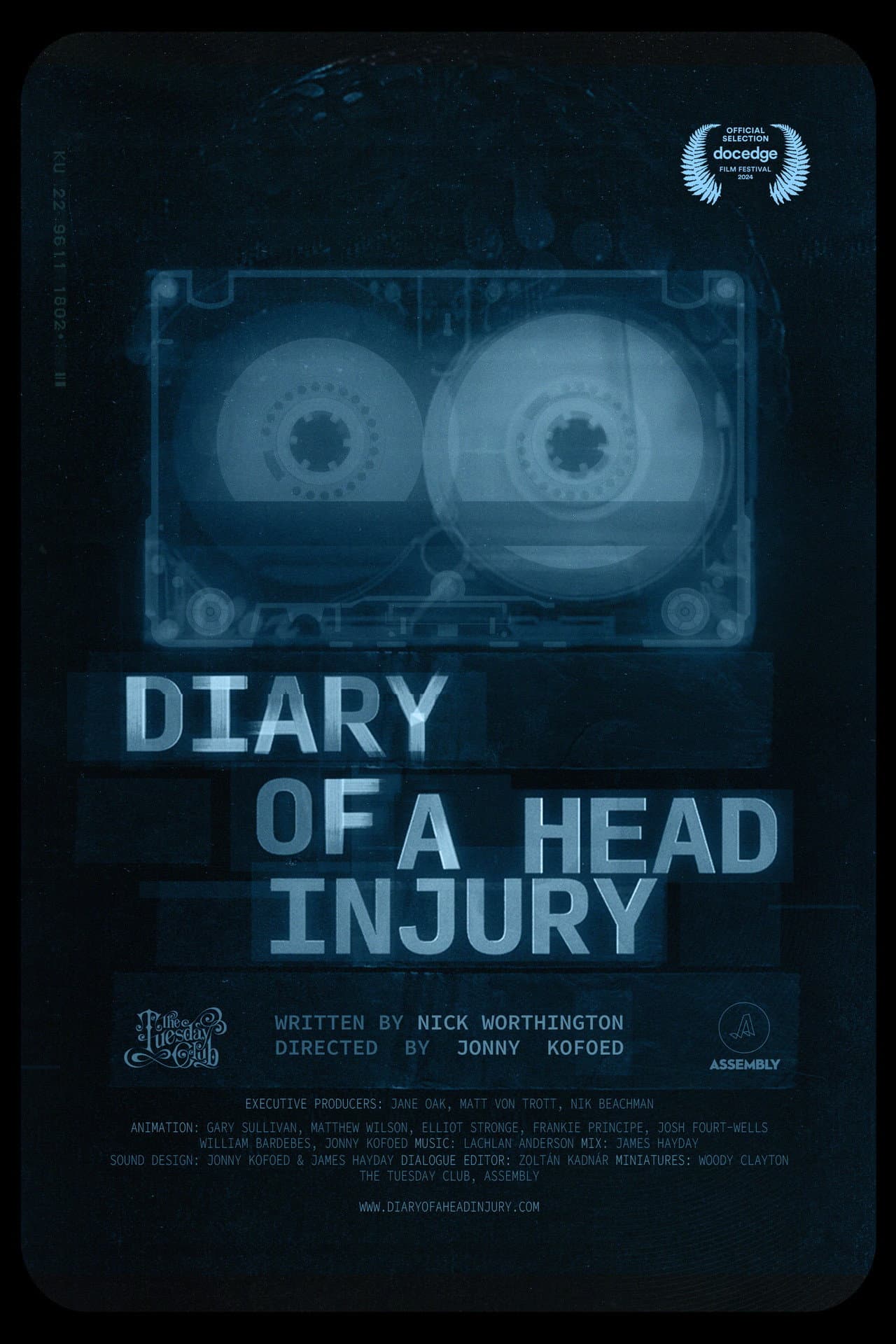 Diary of a Head Injury preview 2
