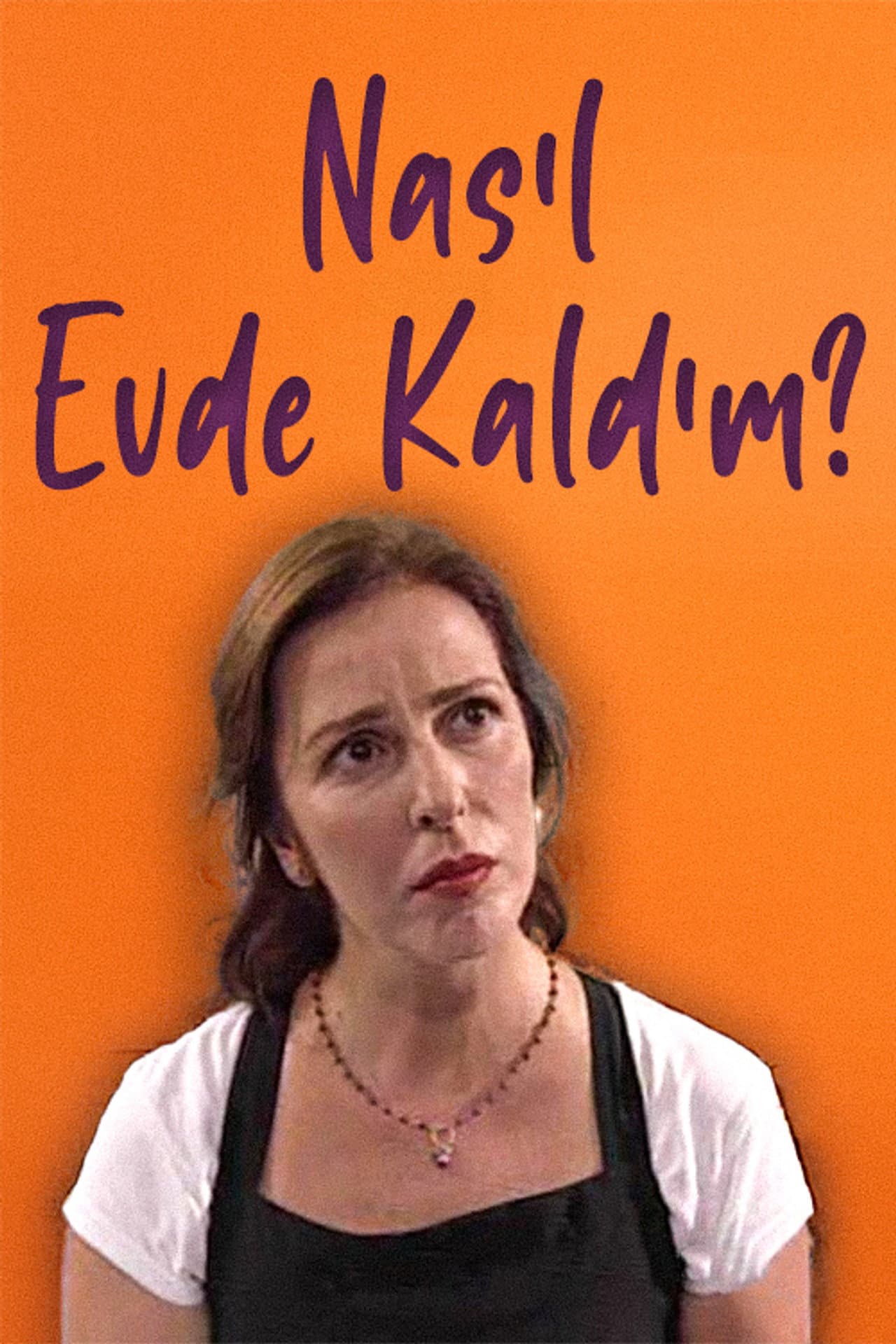 Nasıl Evde Kaldım preview 1