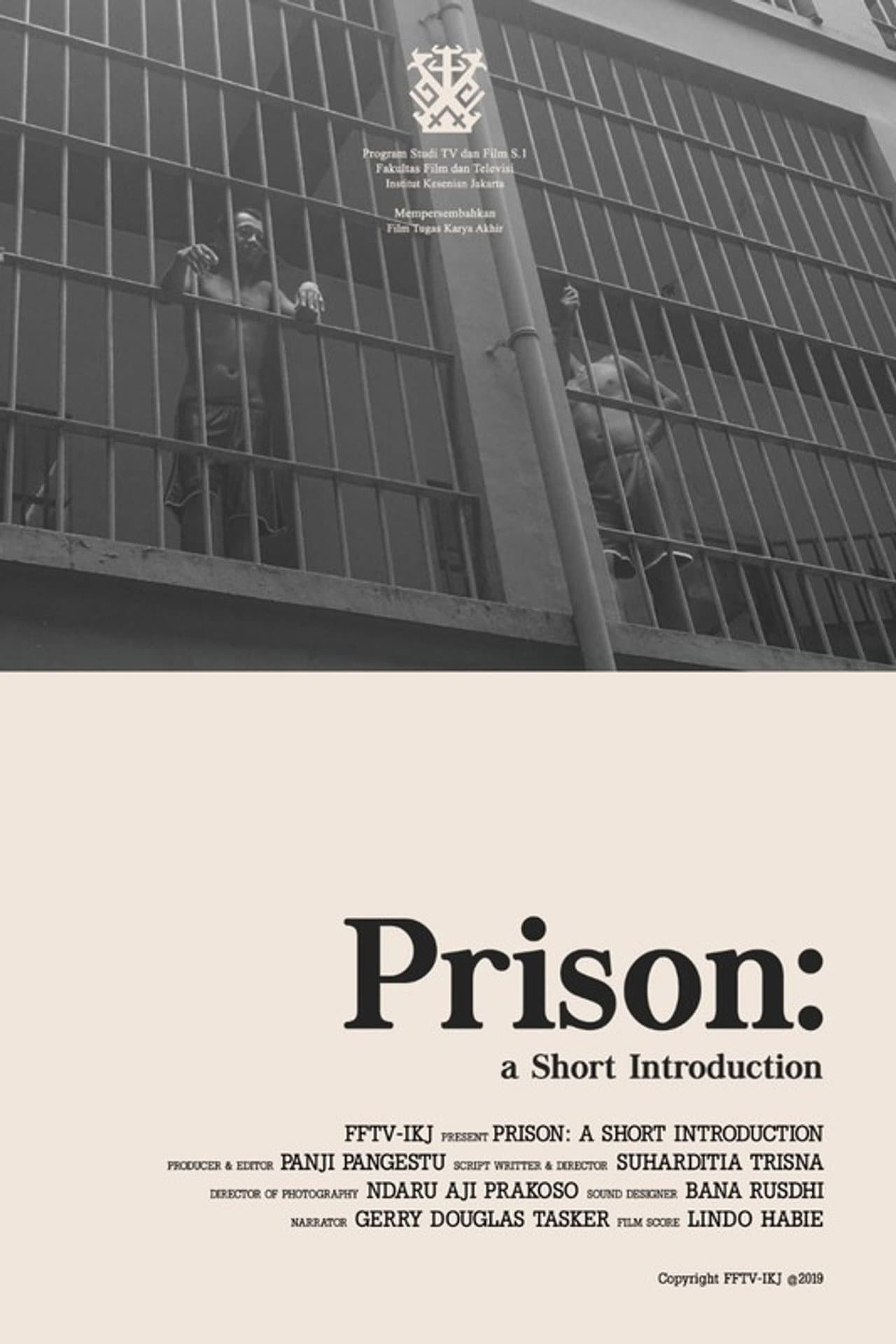 Prison: A Short Introduction preview 1