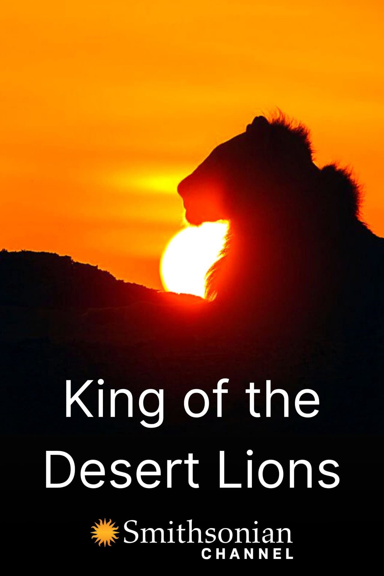 King of the Desert Lions preview 1
