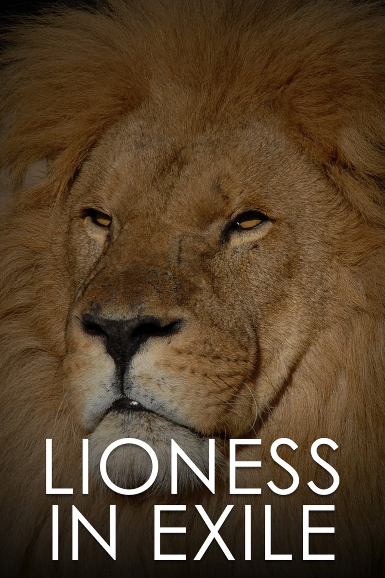 Lioness in Exile preview 2