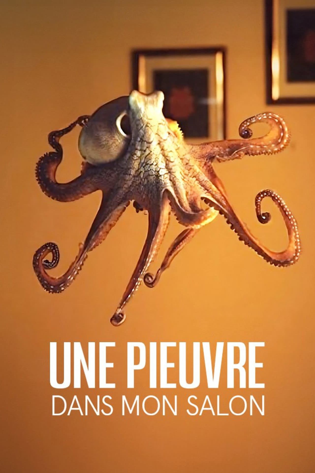 The Octopus in My House preview 2