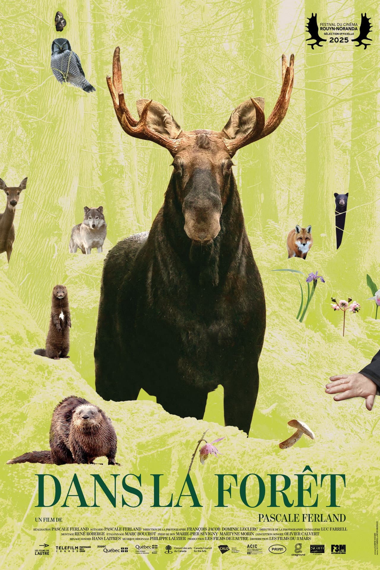 In the Forest preview 1