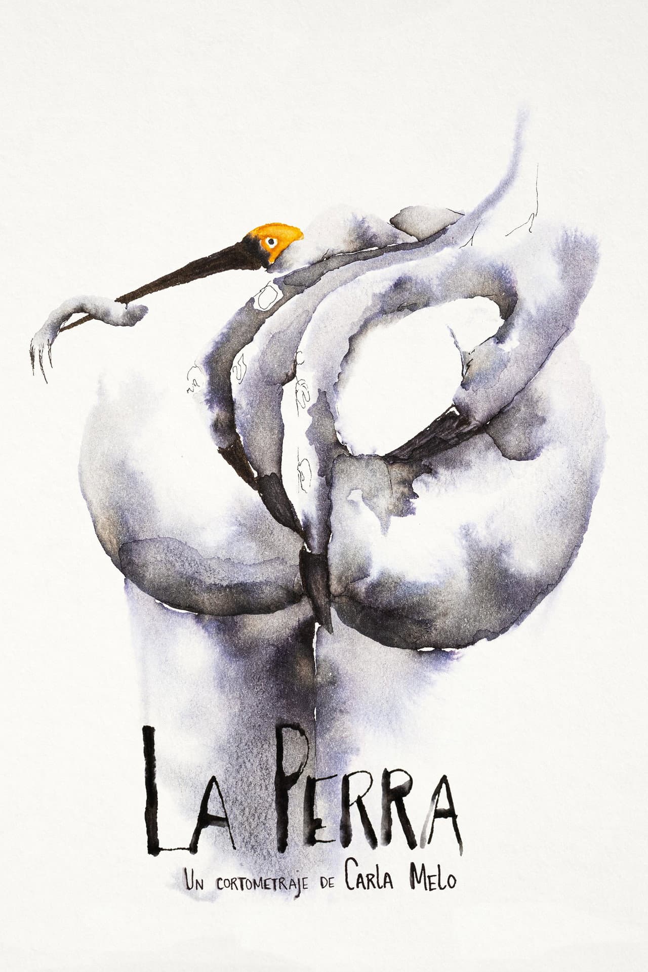 La Perra preview 2