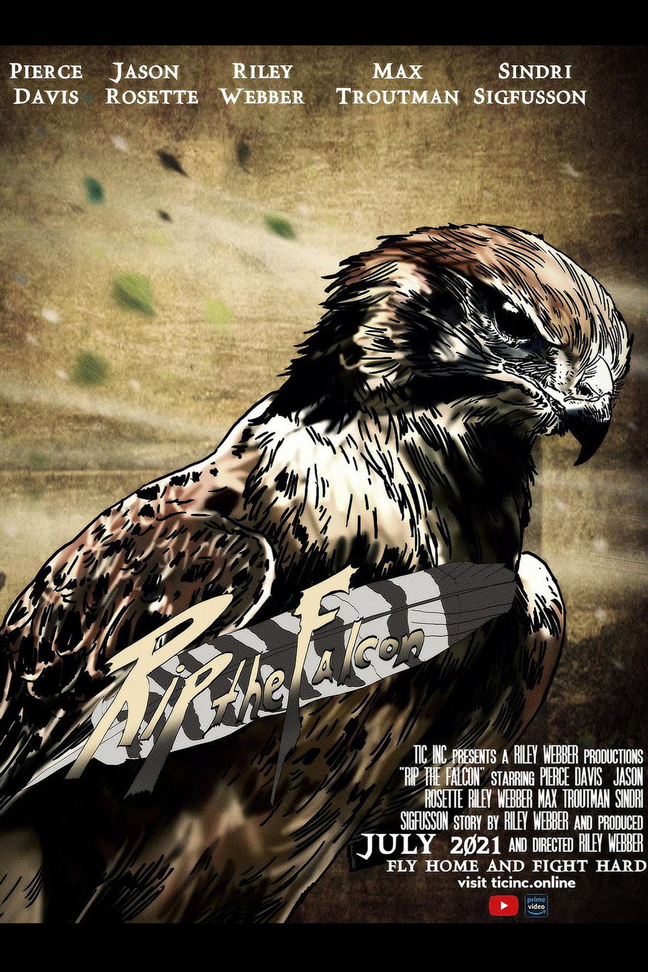 Rip the Falcon preview 2