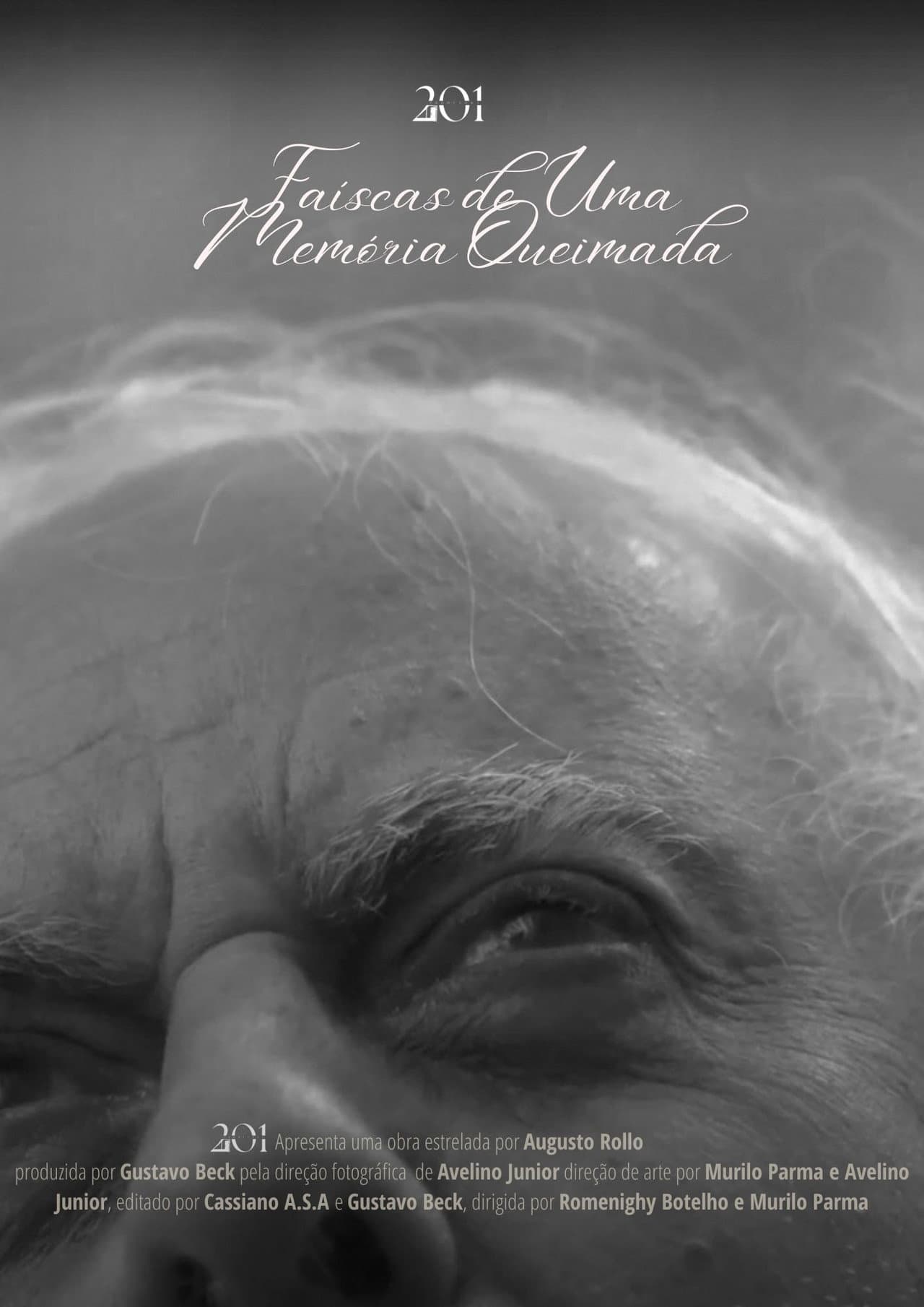 Faíscas de uma Memória Queimada preview 2