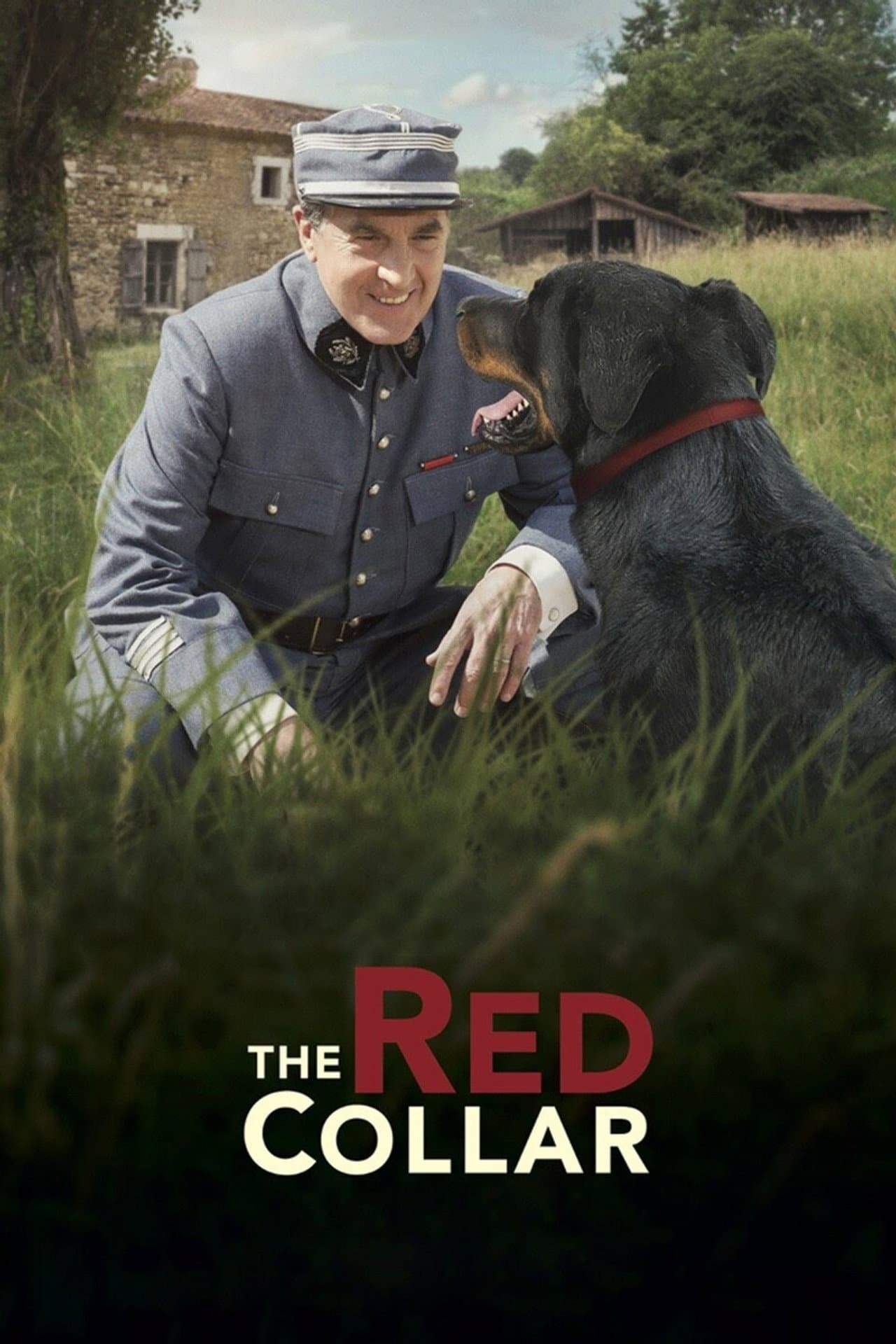 The Red Collar preview 2