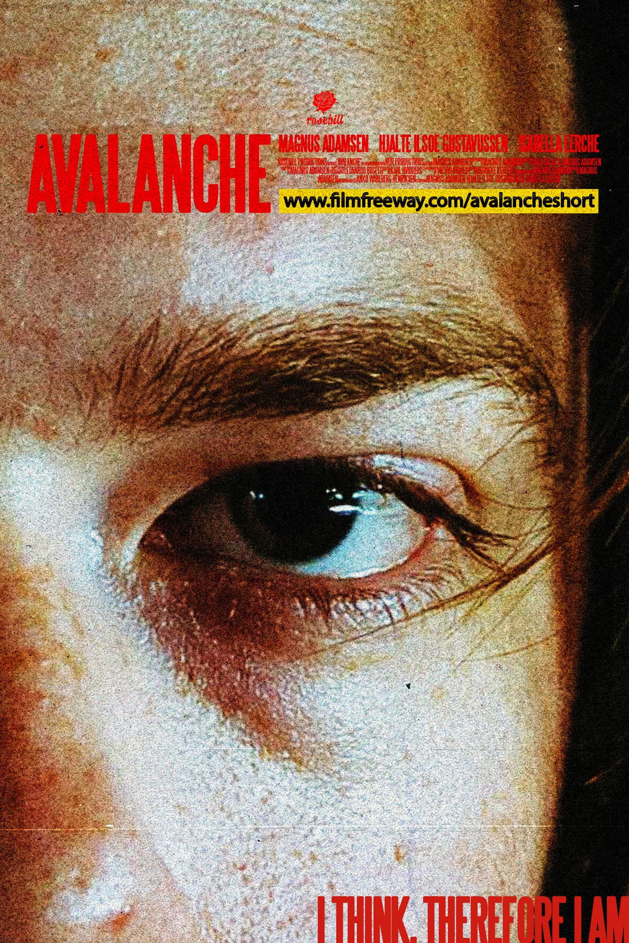 Avalanche preview 1