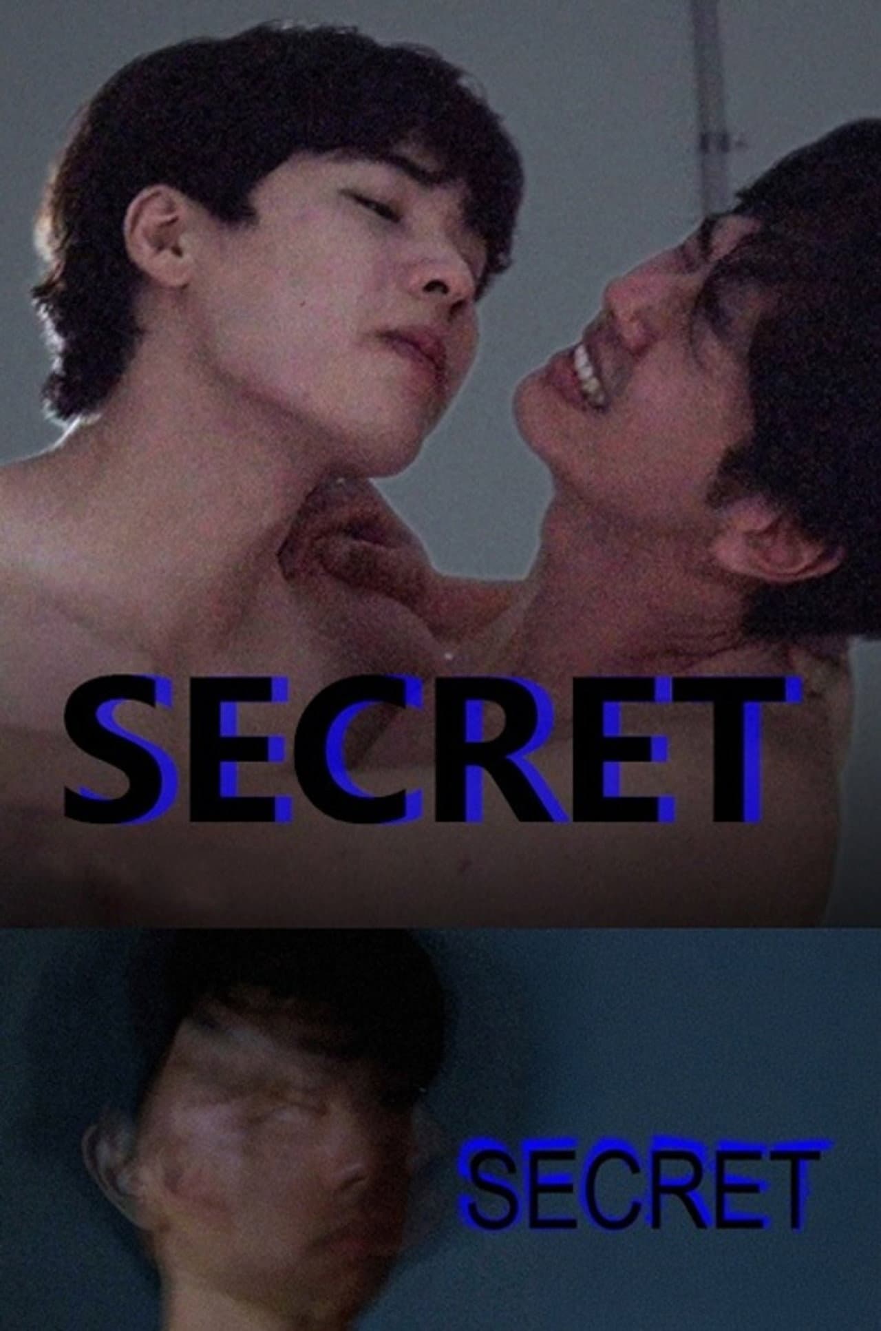 Secret preview 2