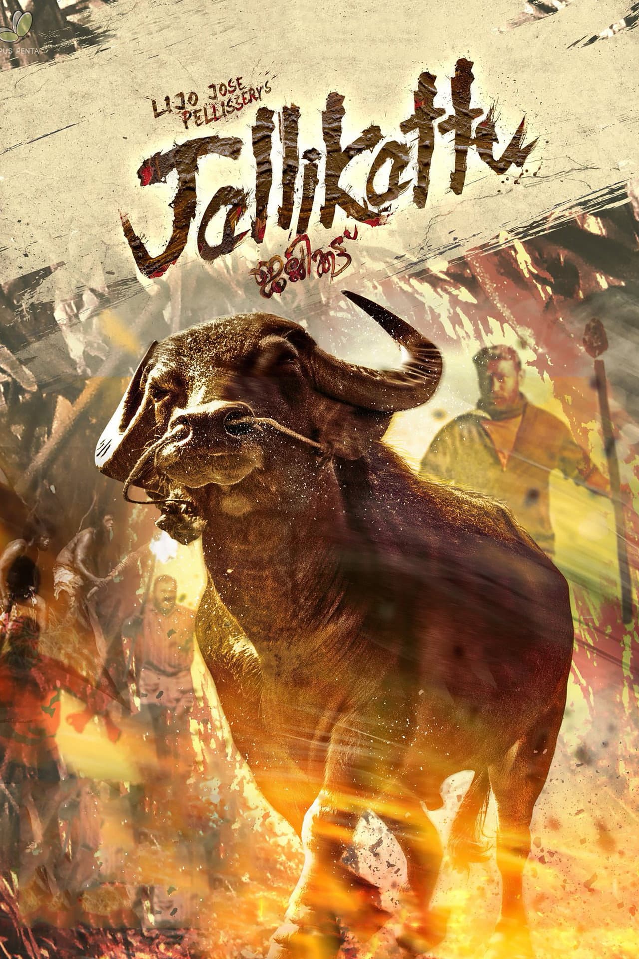Jallikattu preview 2