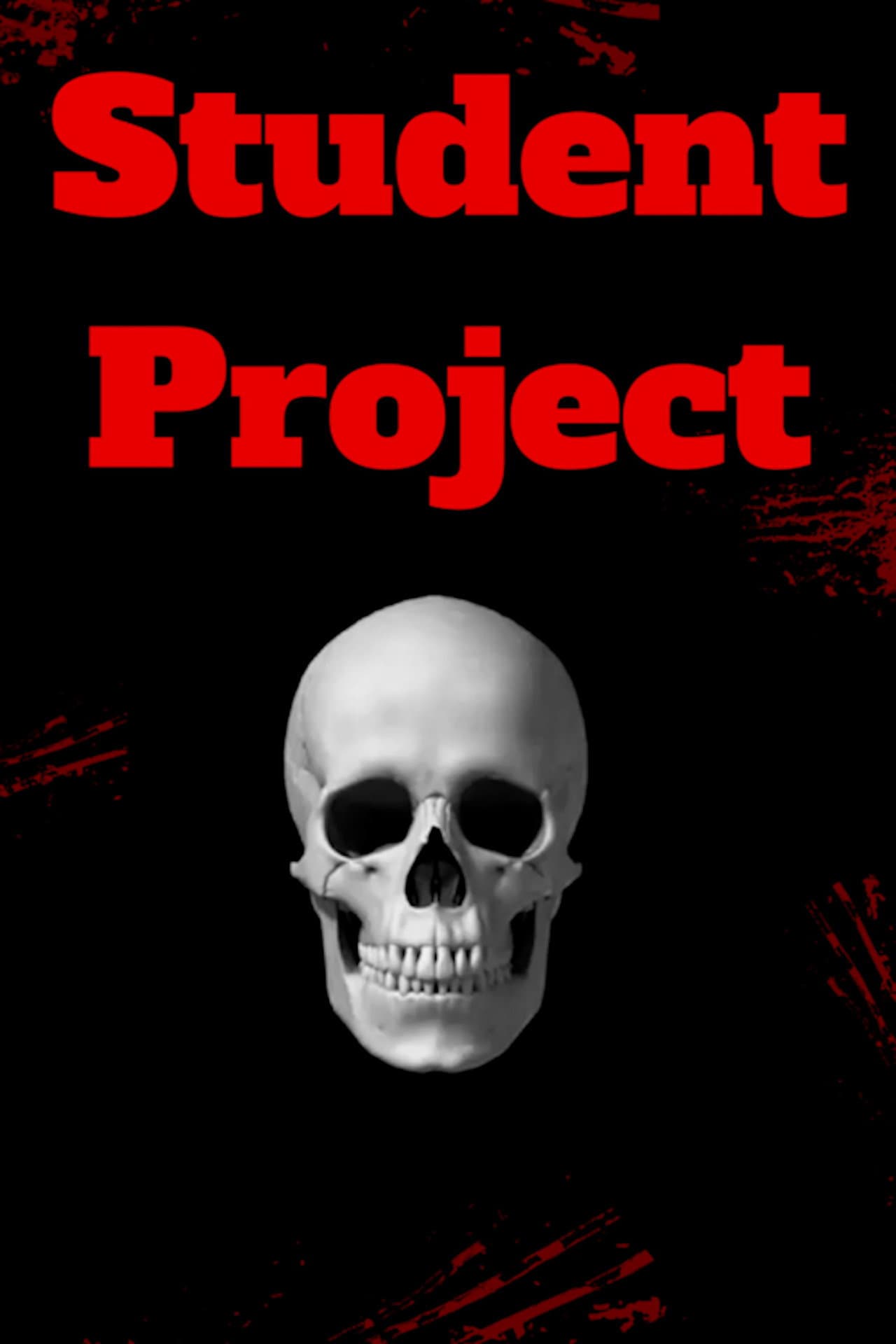 Student Project preview 2