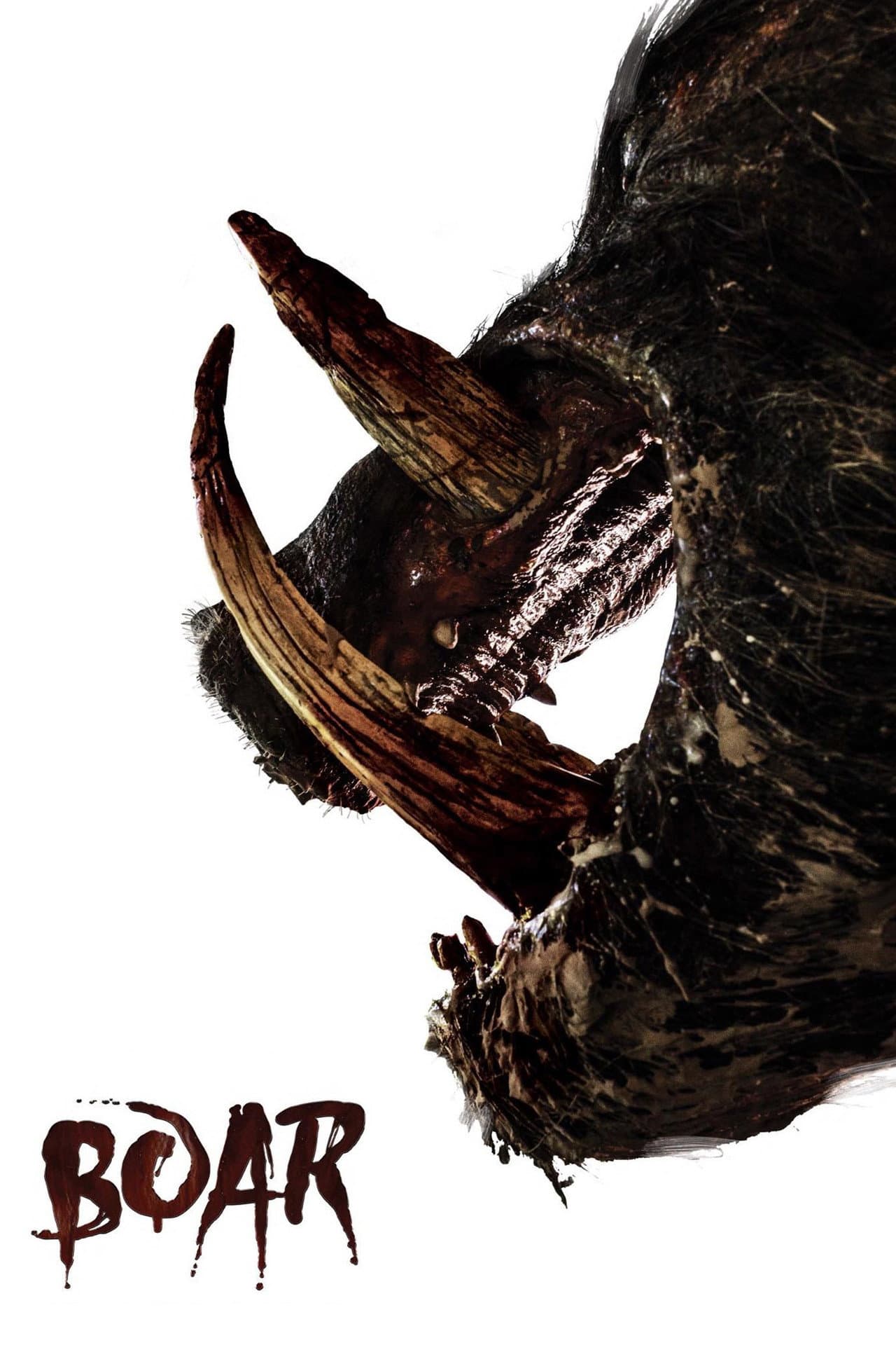 Boar preview 2