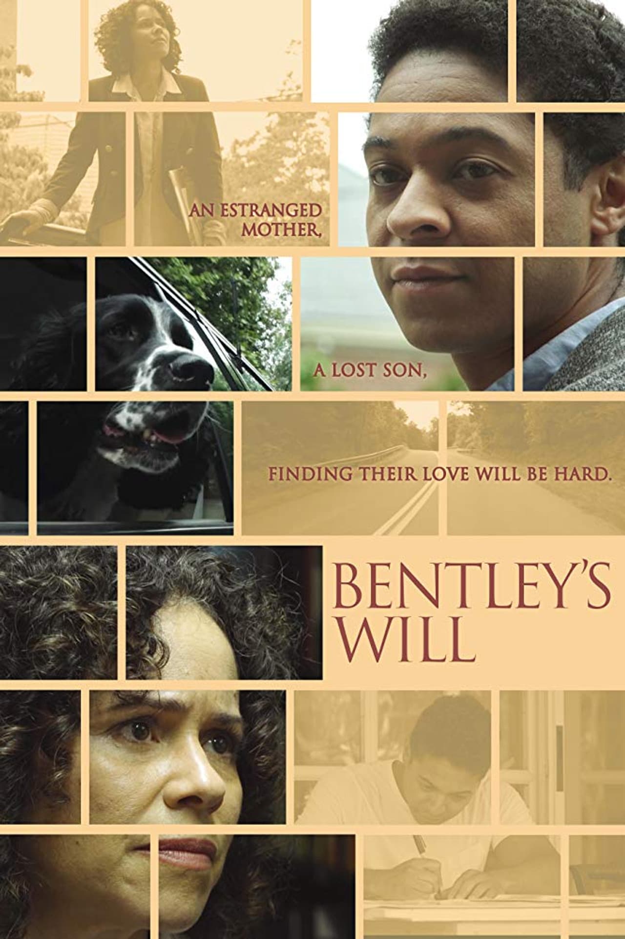Bentley's Will preview 1