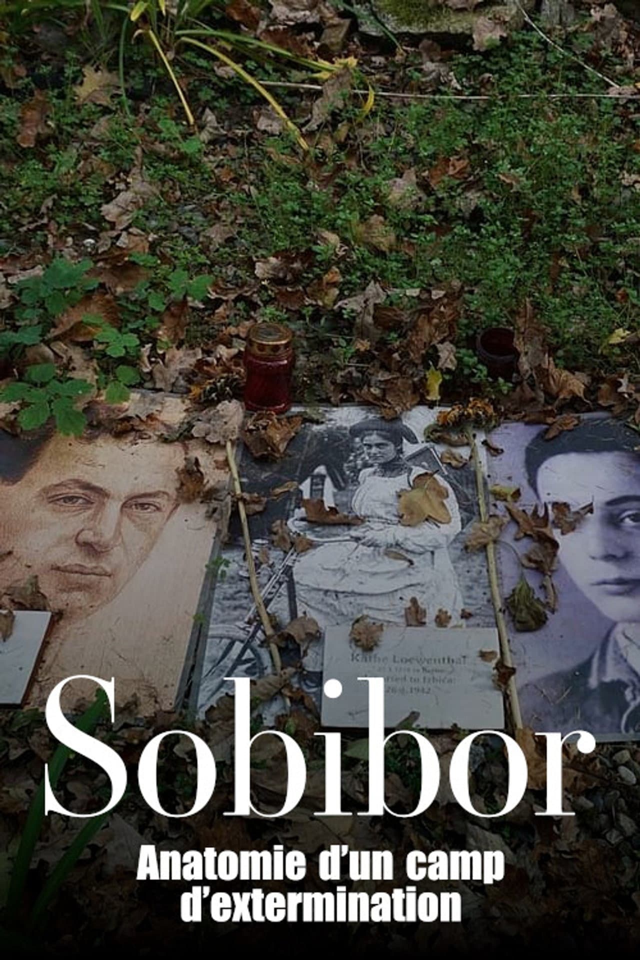 Sobibór - Anatomie eines Vernichtungslagers preview 2