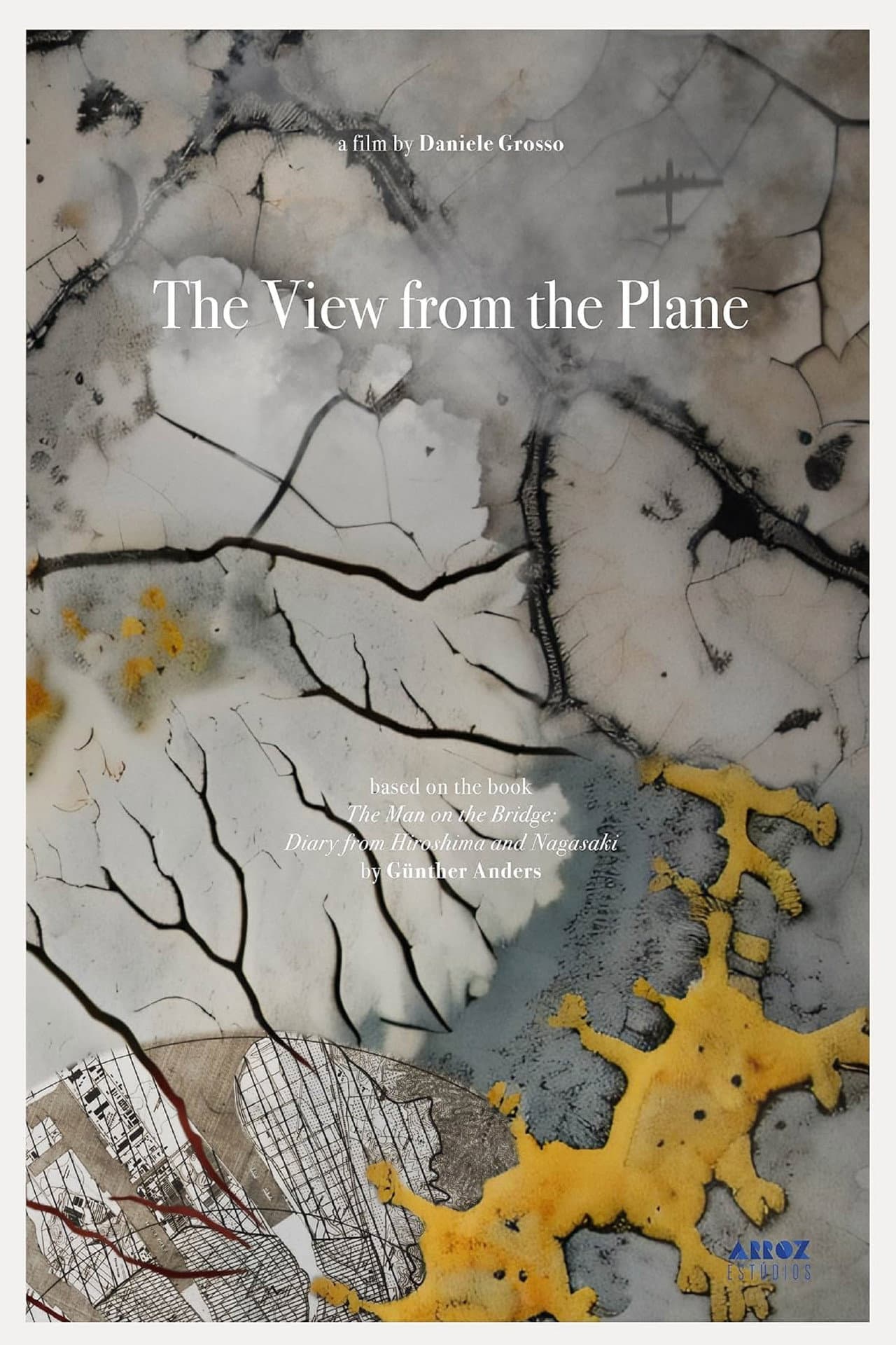 The View from the Plane preview 1